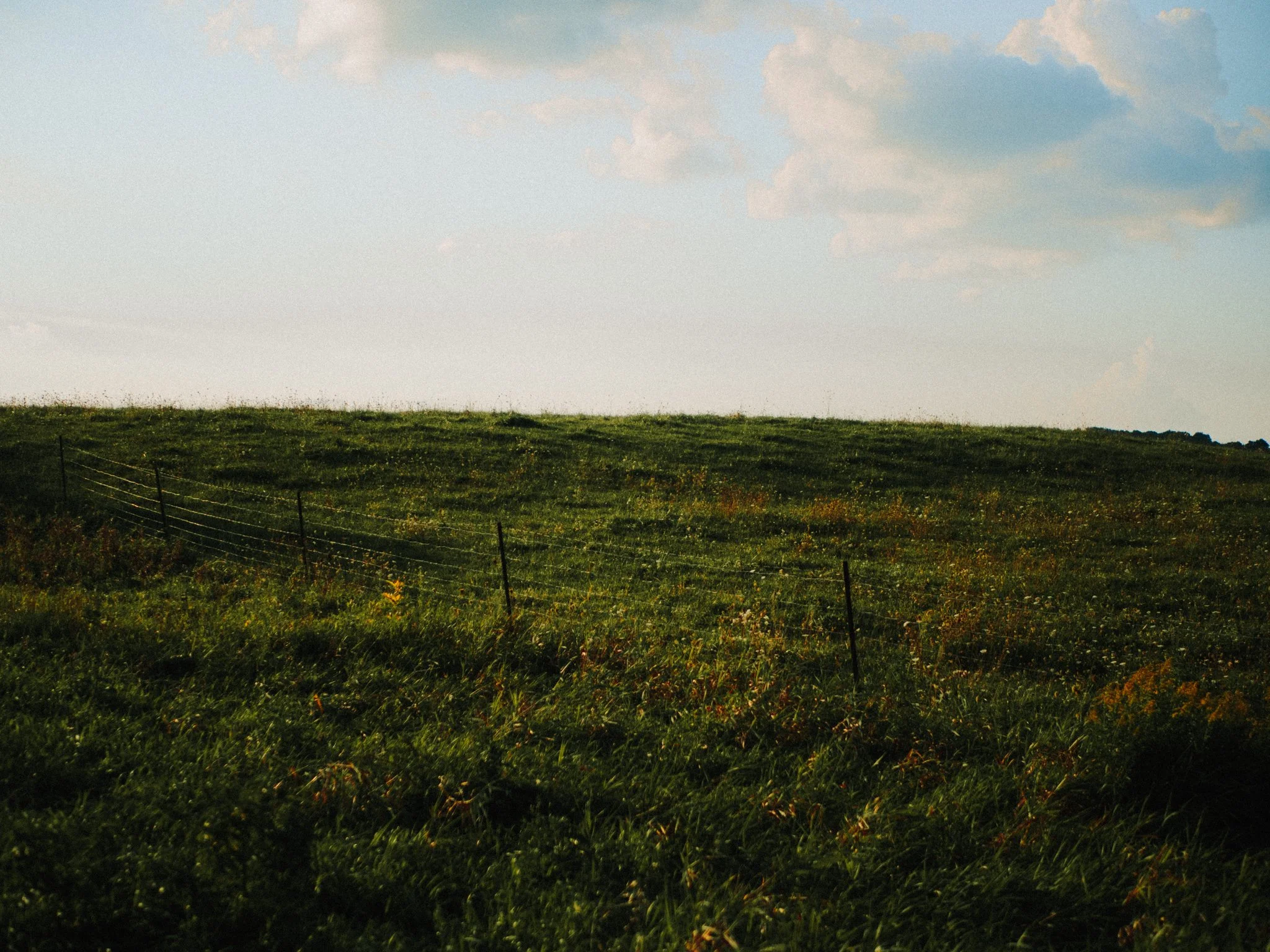 P9220722.jpg