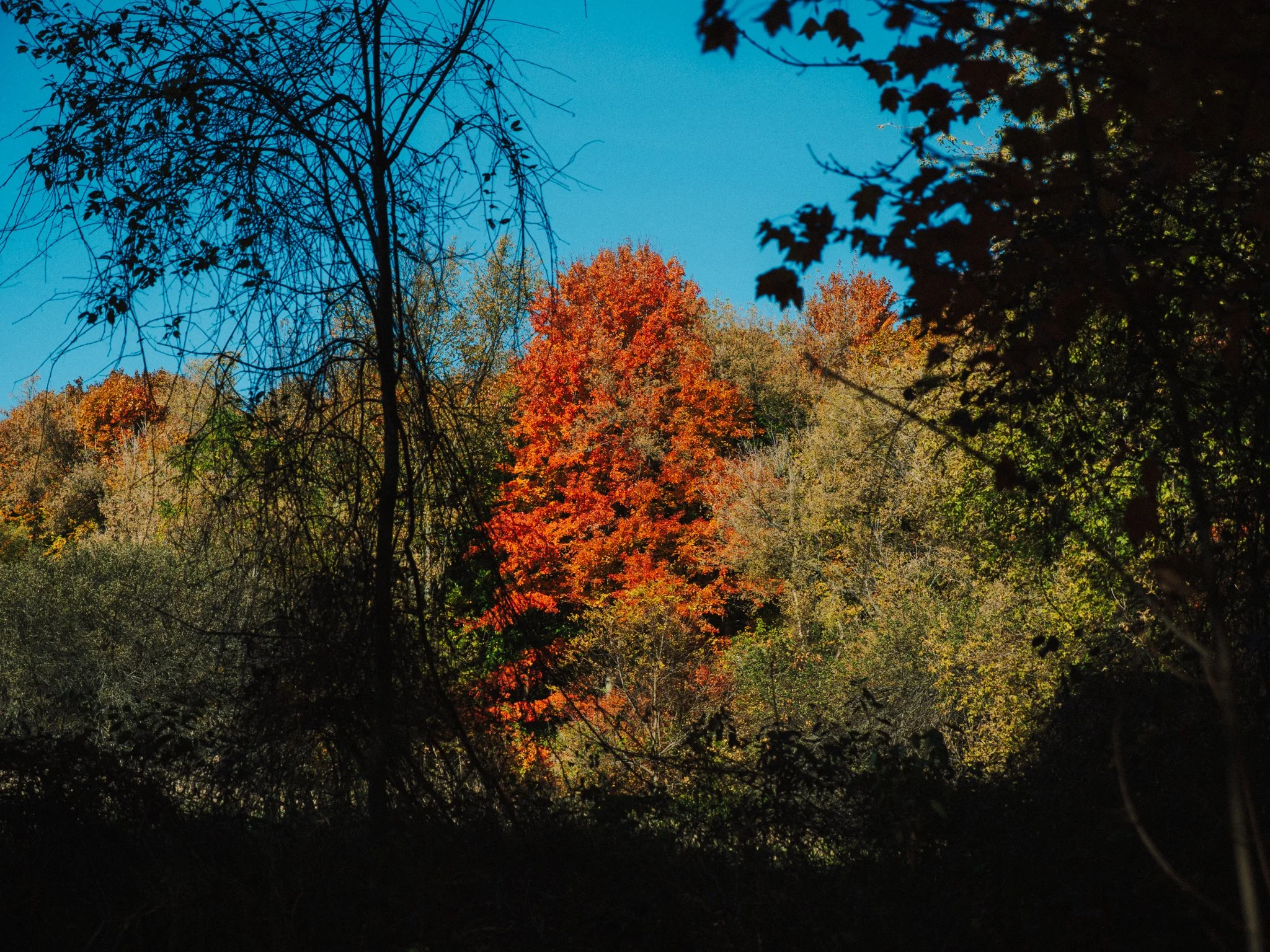 PA190019.jpg