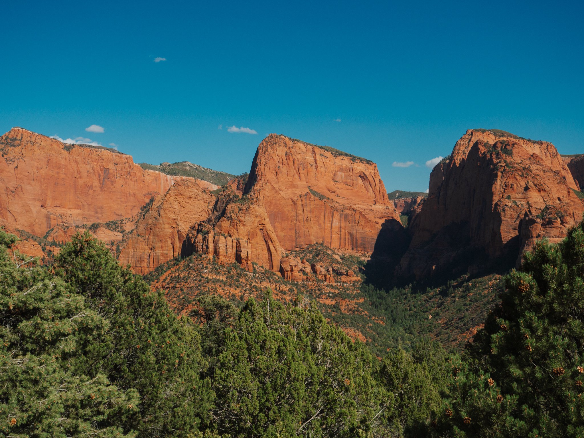 PA090262.jpg