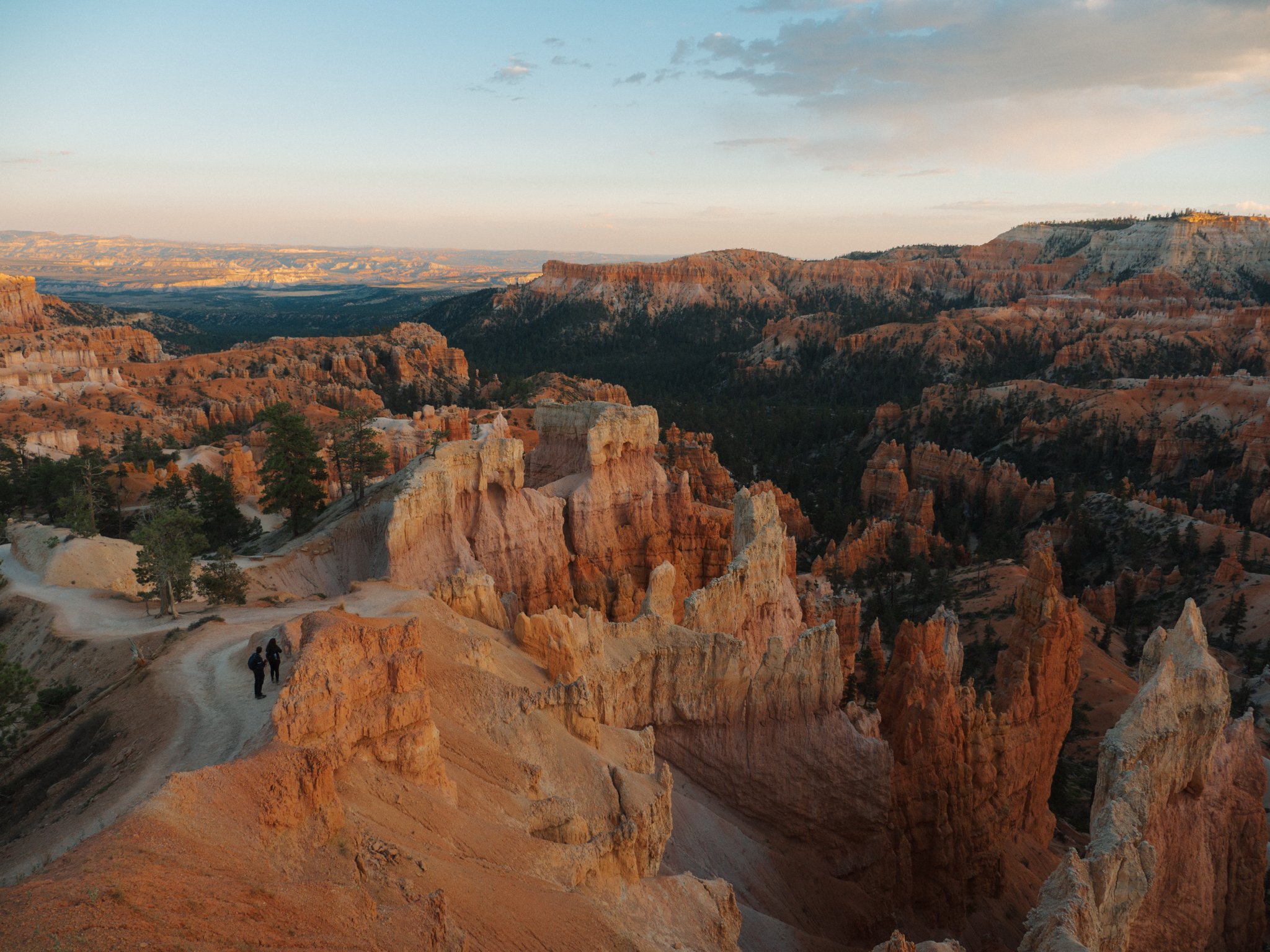PA090370.jpg