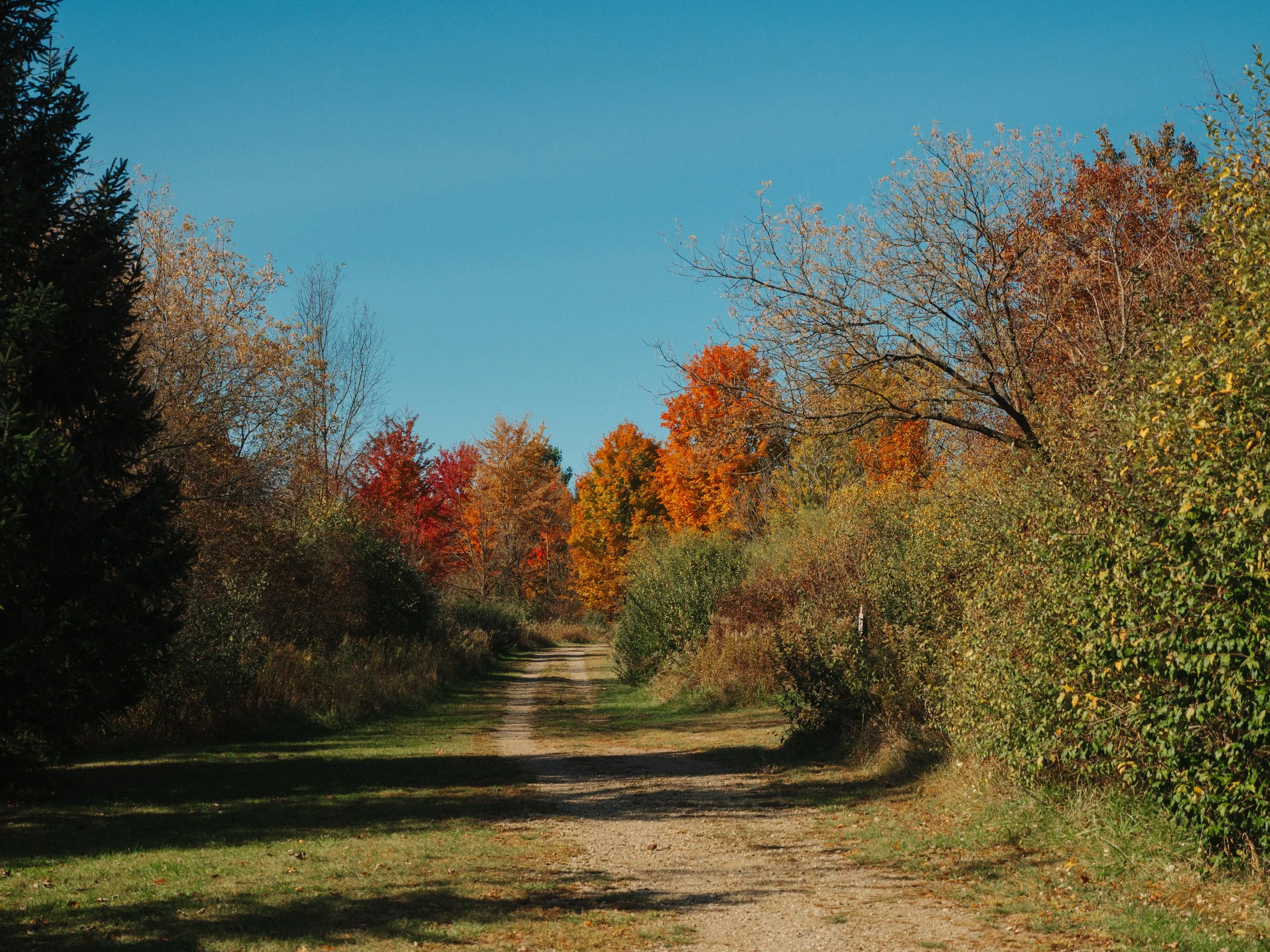 PA190015.jpg