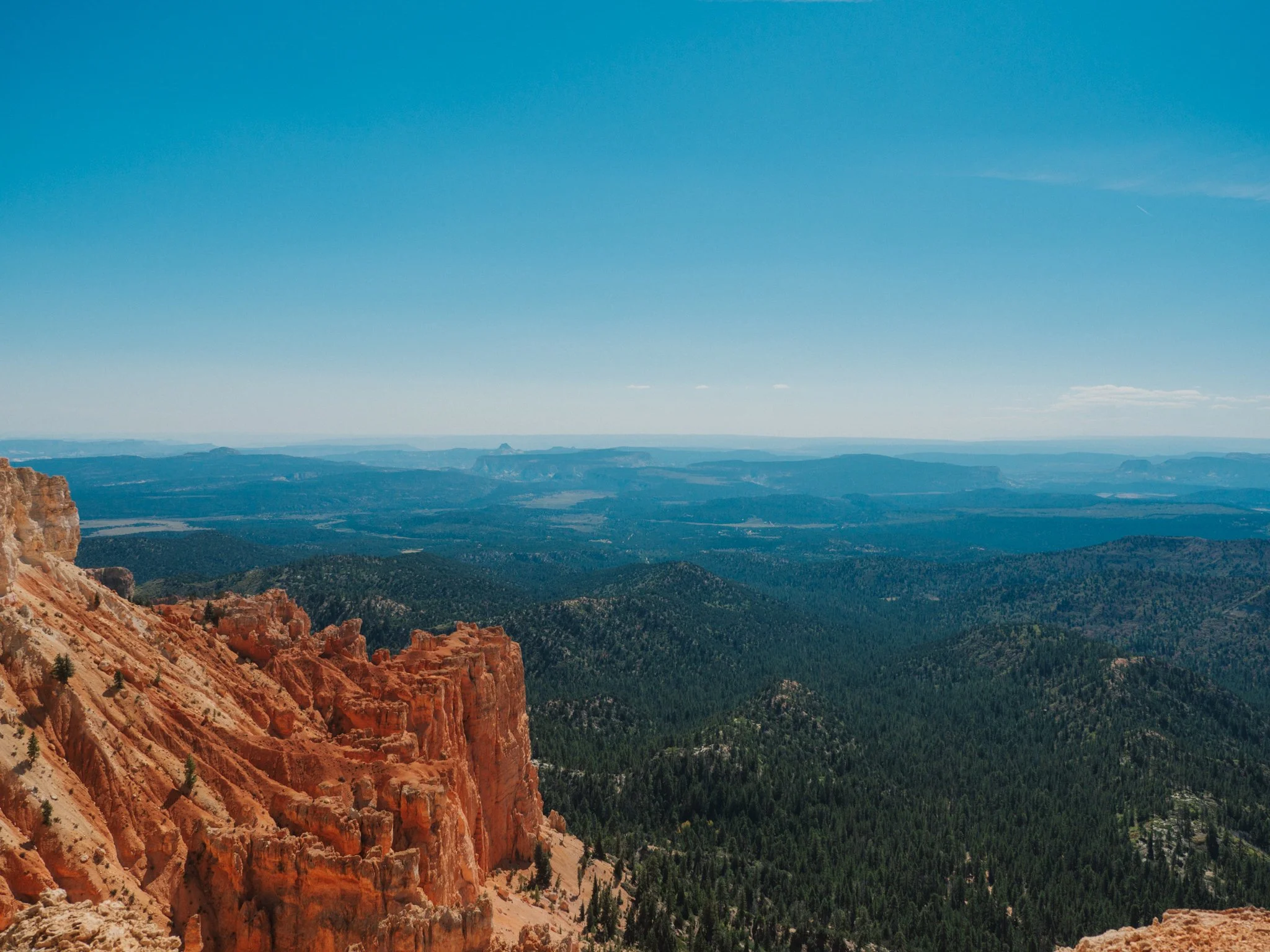 PA100210.jpg