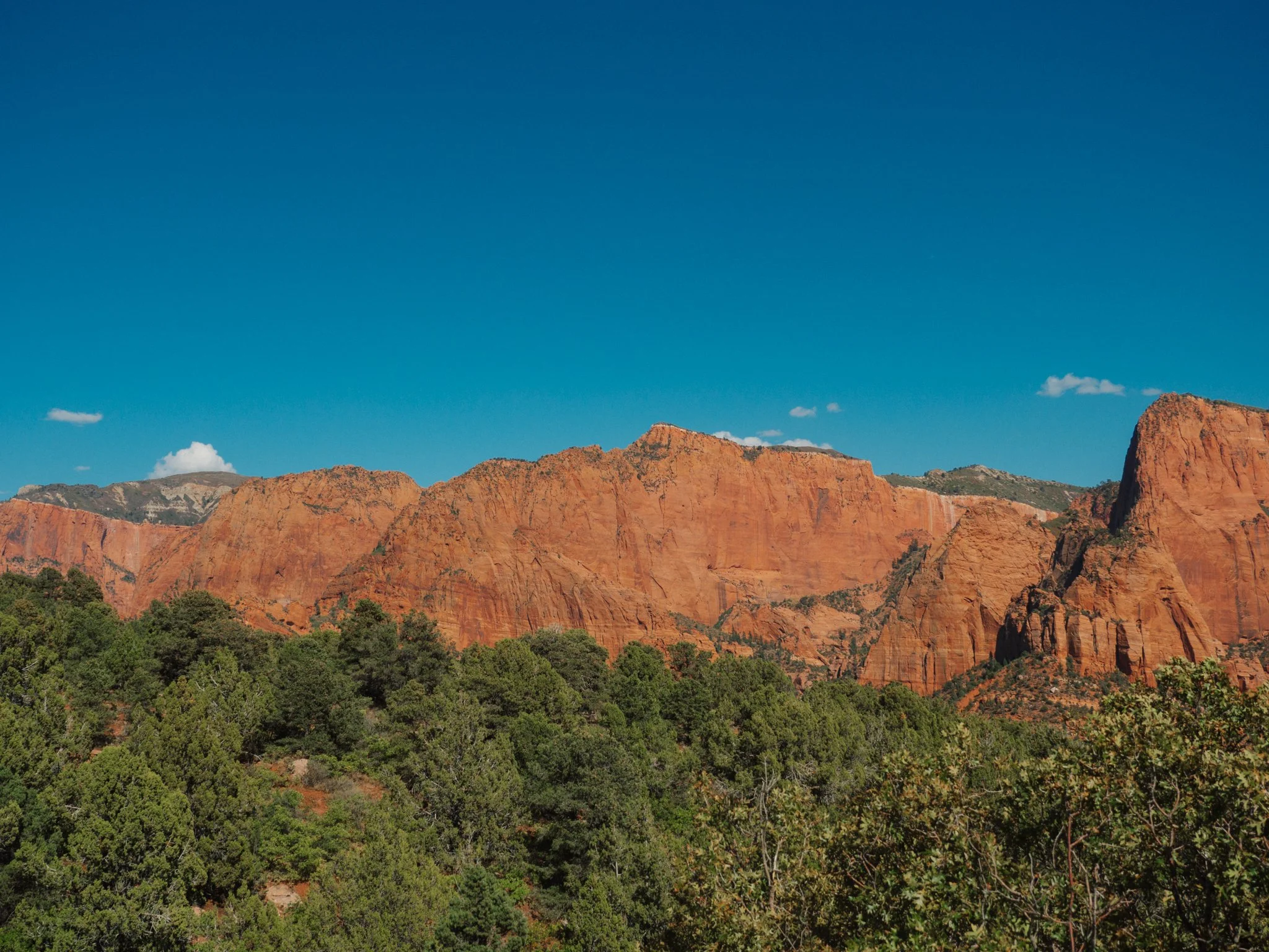 PA090256.jpg