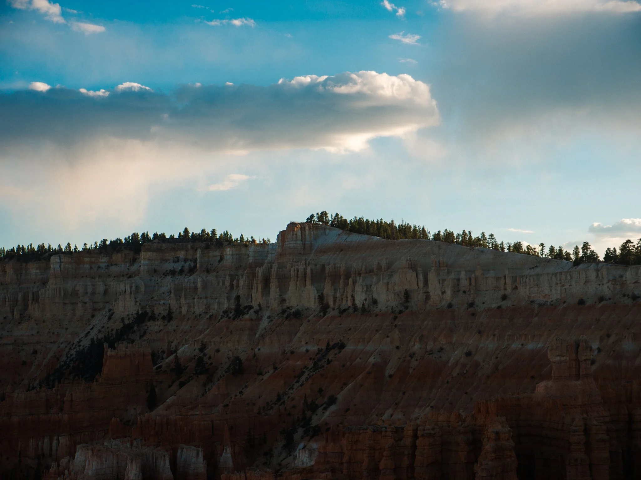 PA090347.jpg