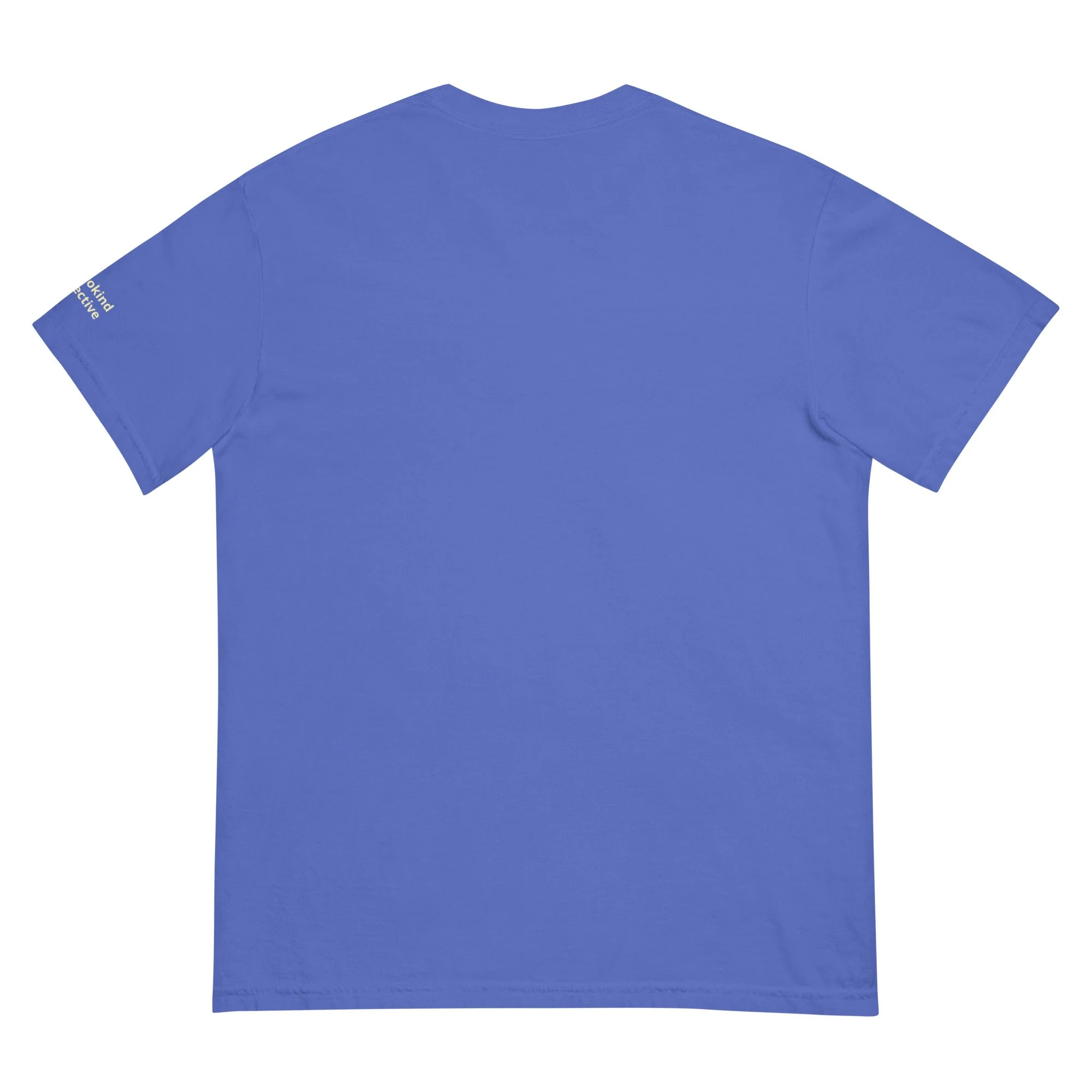 unisex-garment-dyed-heavyweight-t-shirt-flo-blue-back-6a18ecd85802b.jpg