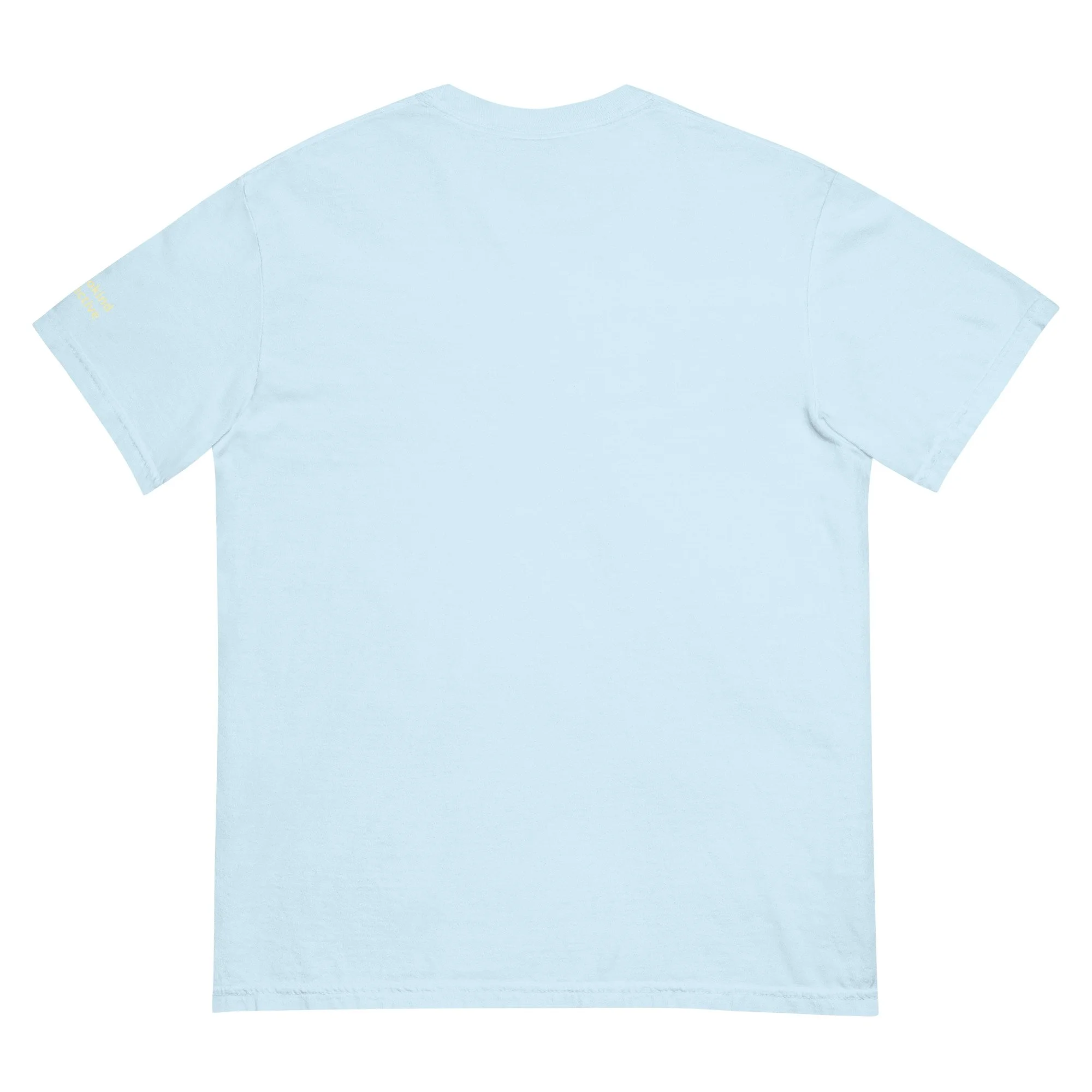 unisex-garment-dyed-heavyweight-t-shirt-chambray-back-6a18ecd860f95.jpg