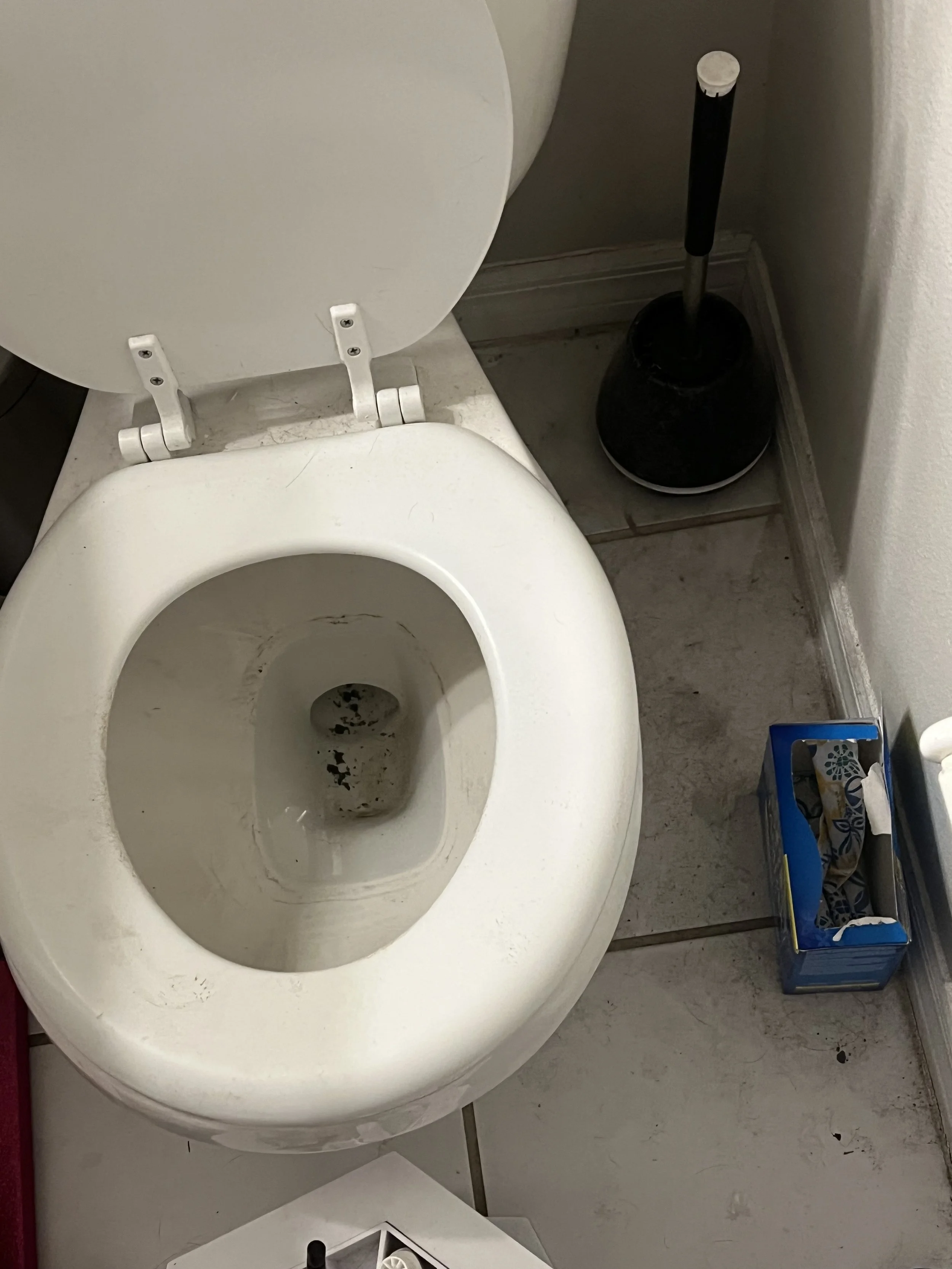 Toilet with stained bowl, black toilet brush, and a box of tissues on the floor beside it.