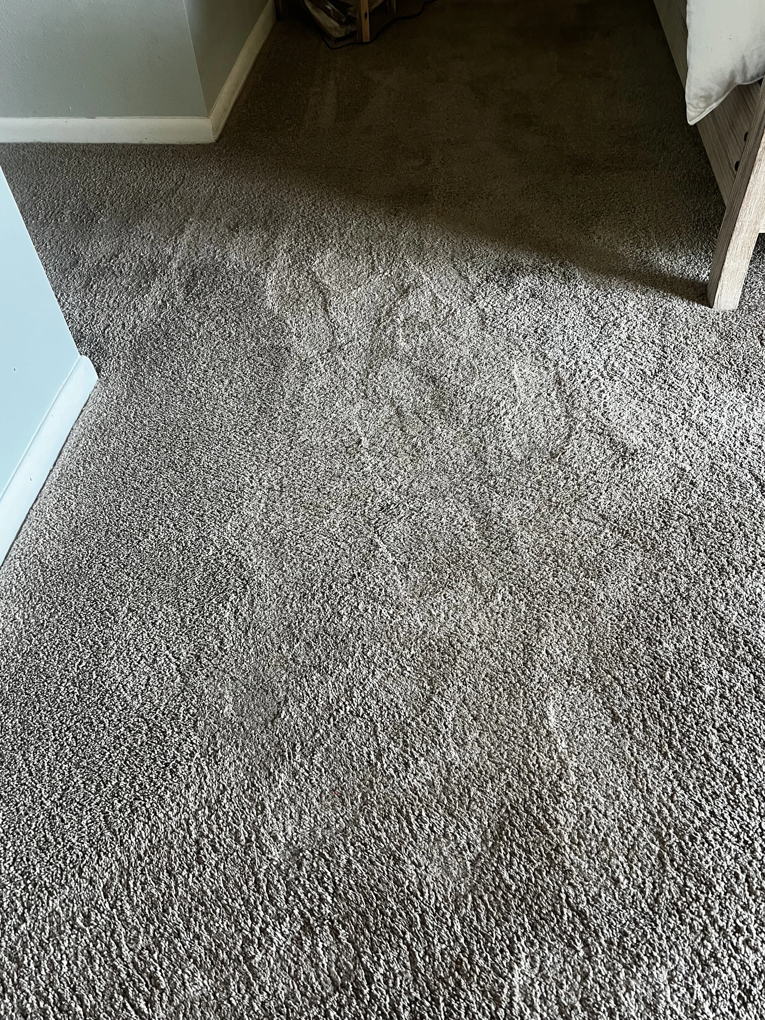 Carpeted floor in a room with a corner visible, edges and a bed with a wooden frame and white bedding in the background.