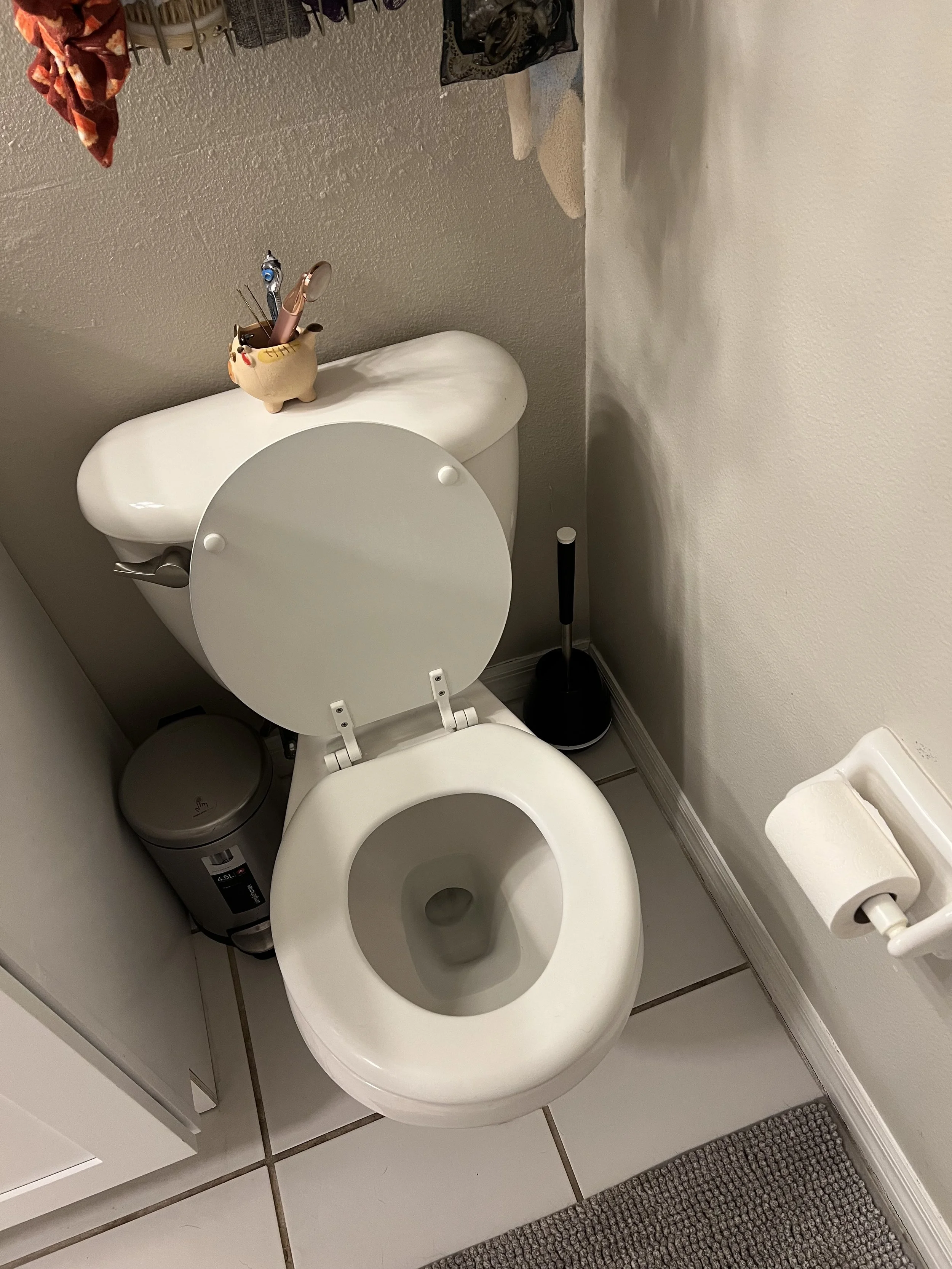 A toilet with the lid up in a small bathroom. There is a toothbrush holder with toothbrushes and a small plant on the toilet tank. A toilet paper roll is mounted on the wall to the right.