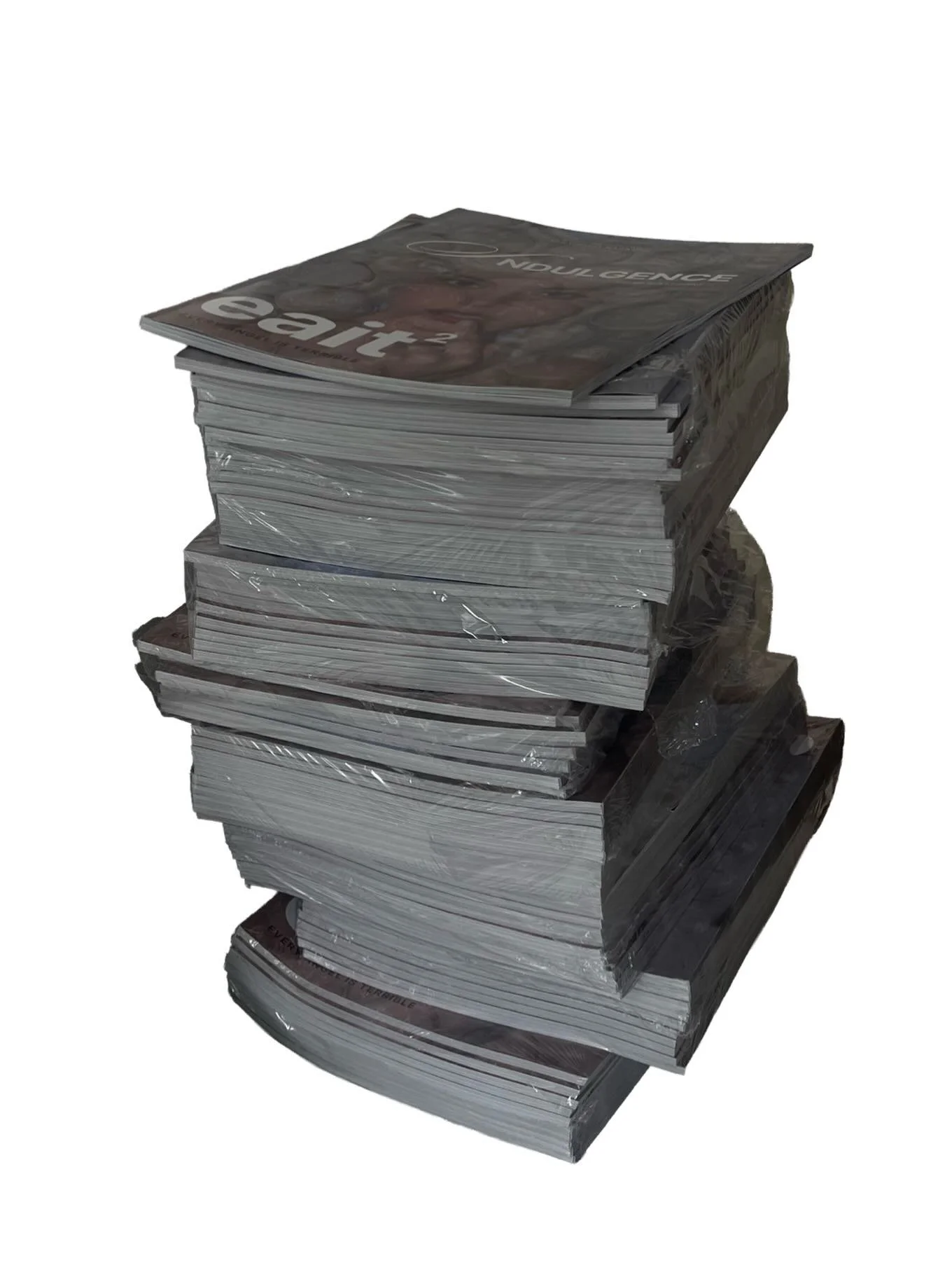 issue two has arrived!!!!! 

we'll send out emails to our contributors tomorrow with a discount and a proper big sloppy thank you. everyone else will receive access early next week through a link to our website in the bio. 

big thanks to you all. se