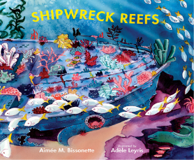 Shipwreck Reefs 