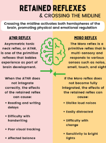 Dip. Sensory & Neurodevelopmental Therapy - Commencing October 2026