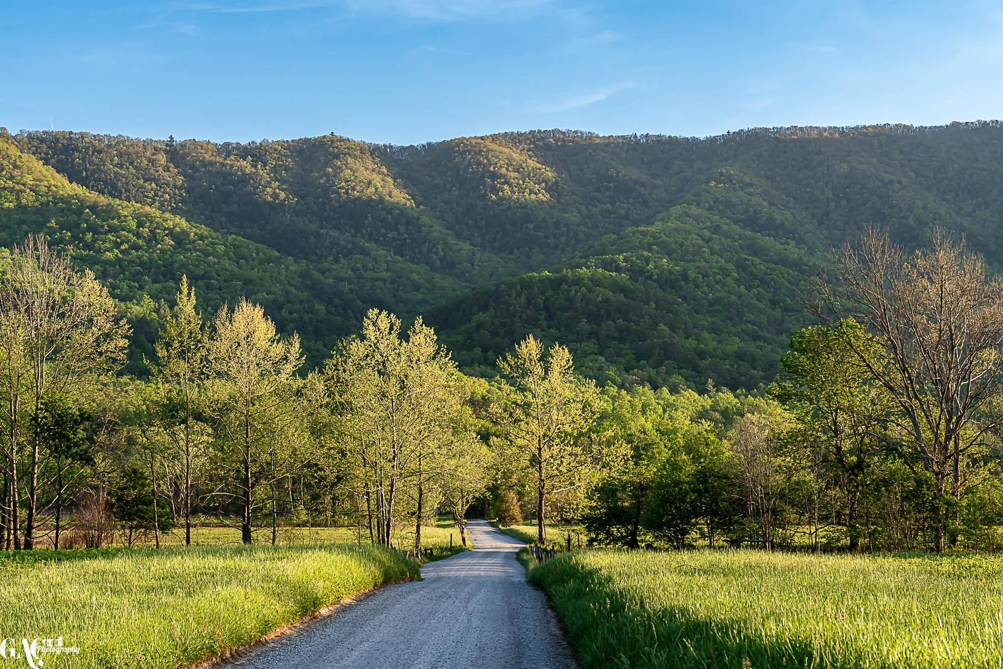 Scenic view of a winding road surrounded by lush green trees leading through a valley with forested mountains under a clear blue sky.