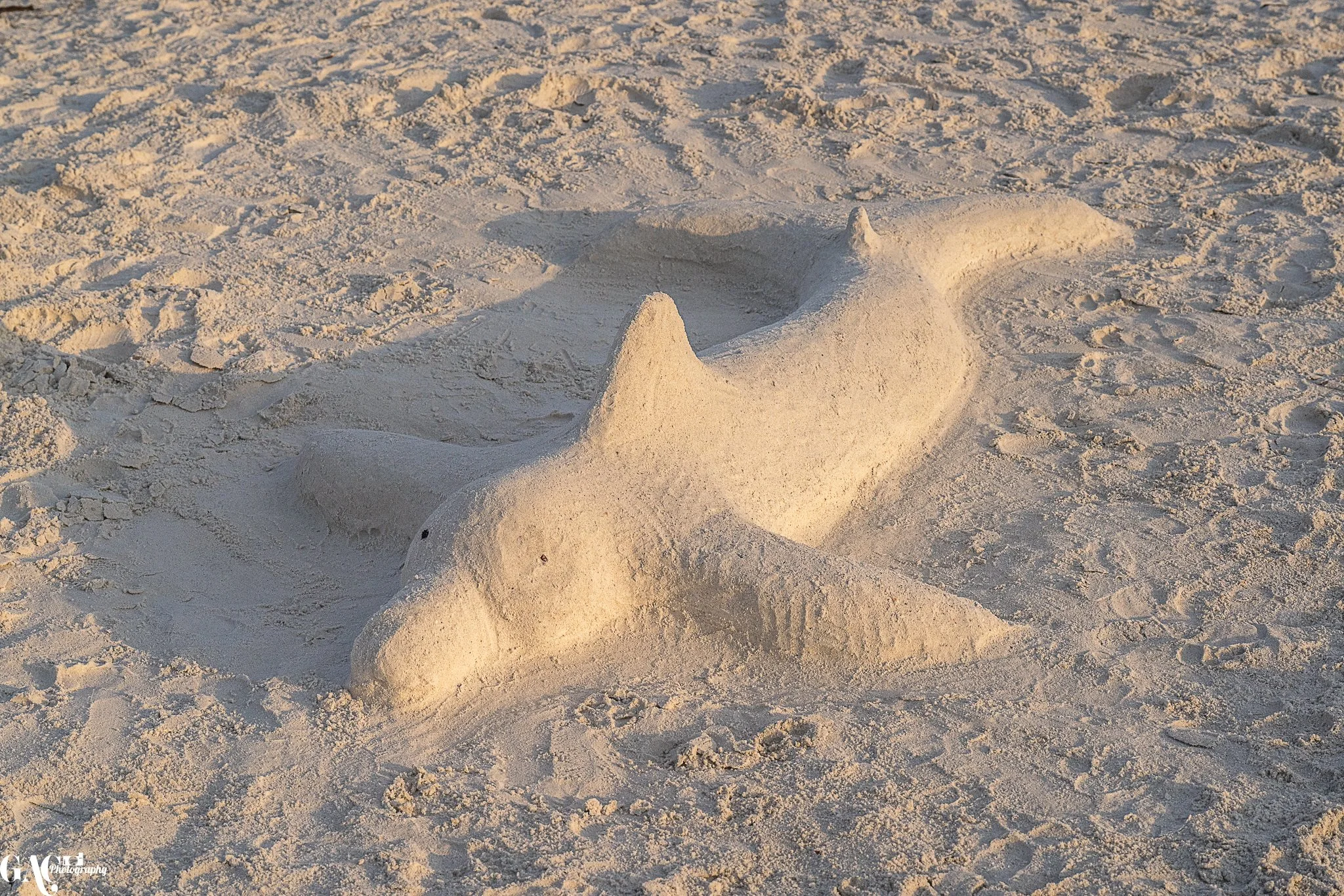 Sand sculpture of a dolphin on the beach.