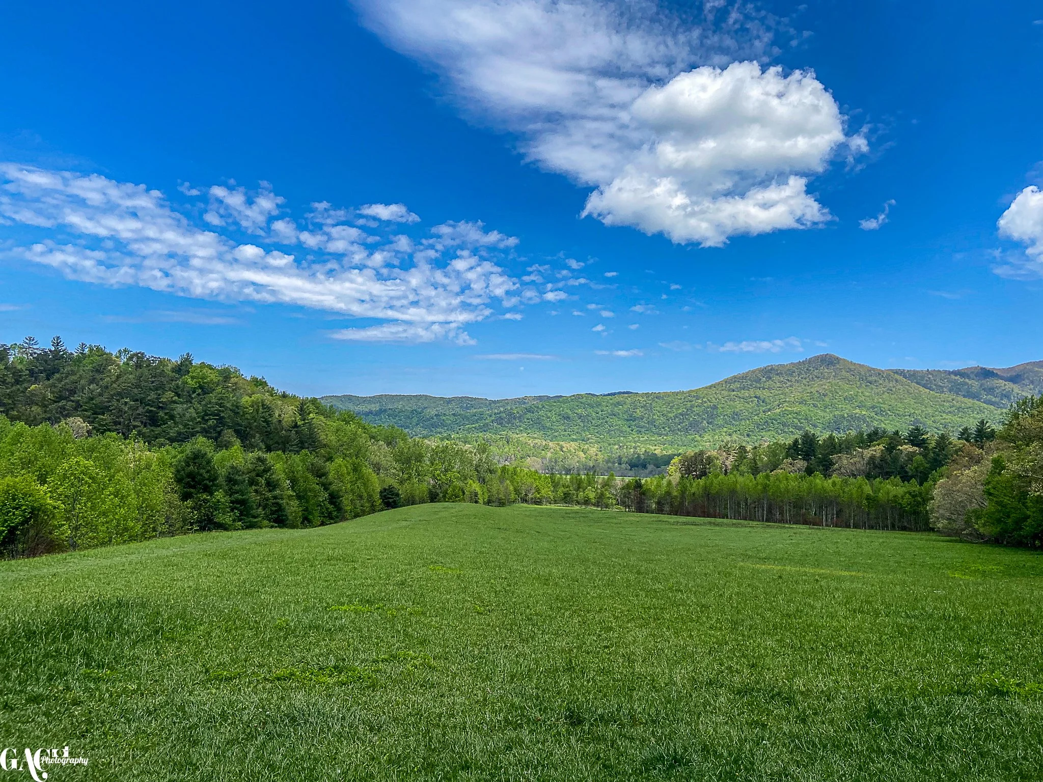 A scenic view of a lush green landscape with a grassy field in the foreground, surrounded by dense forests. In the background, there are mountains under a bright blue sky with scattered white clouds.