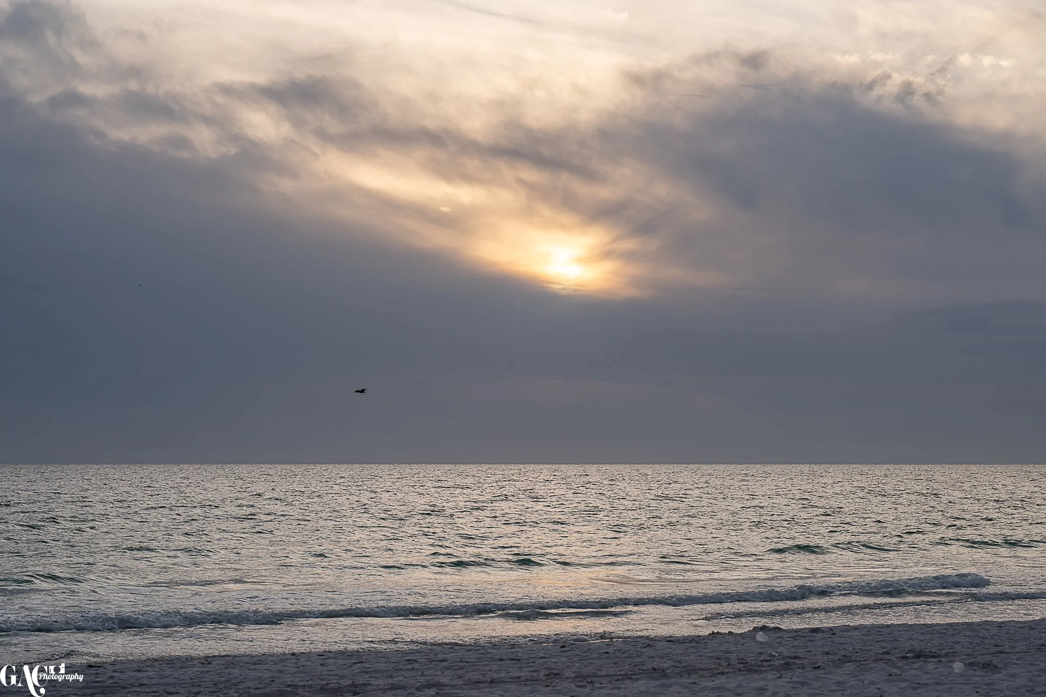 Sunset over an ocean with a cloudy sky and a bird flying above the water.