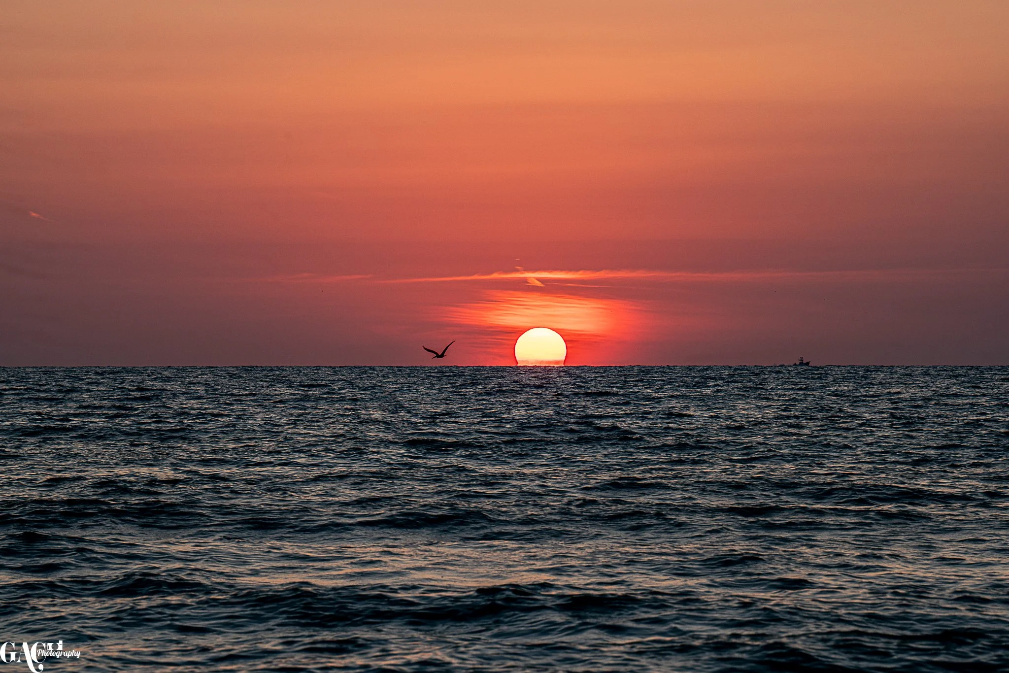 Sunset over the ocean with a bird flying in the sky and a distant boat on the horizon.