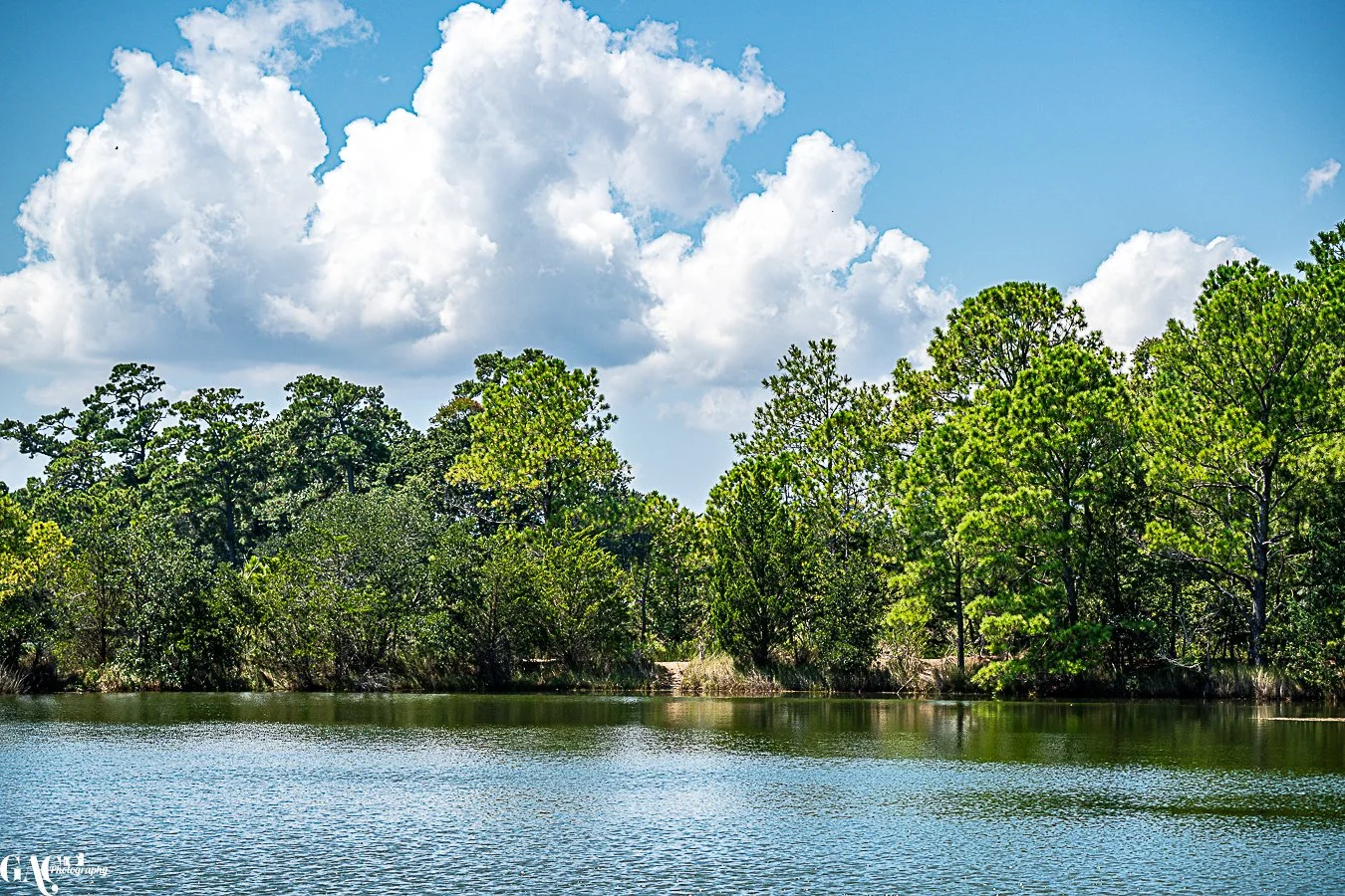A landscape view of a peaceful lake surrounded by green trees under a partly cloudy sky.