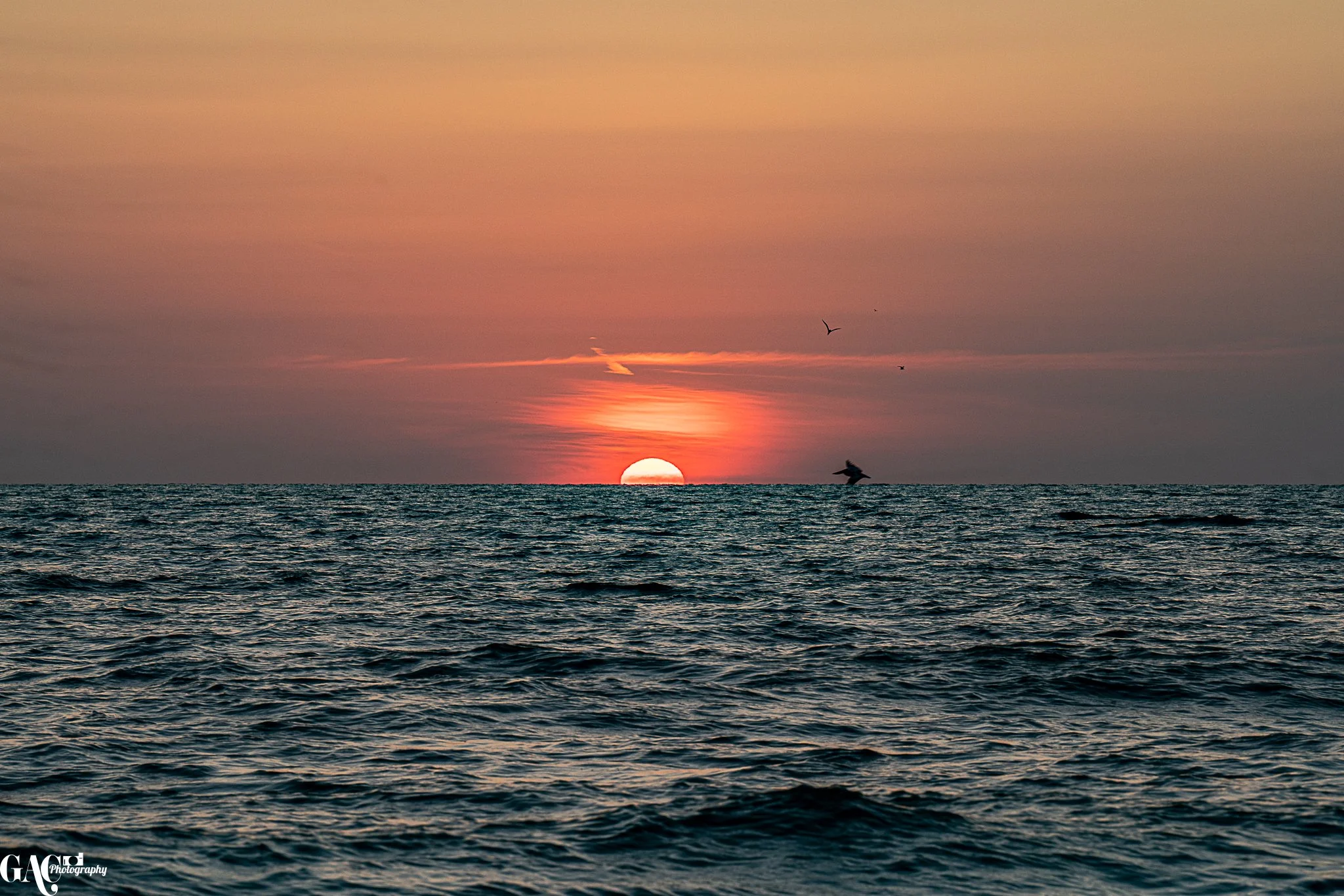 Sunset over ocean with silhouette of birds flying.
