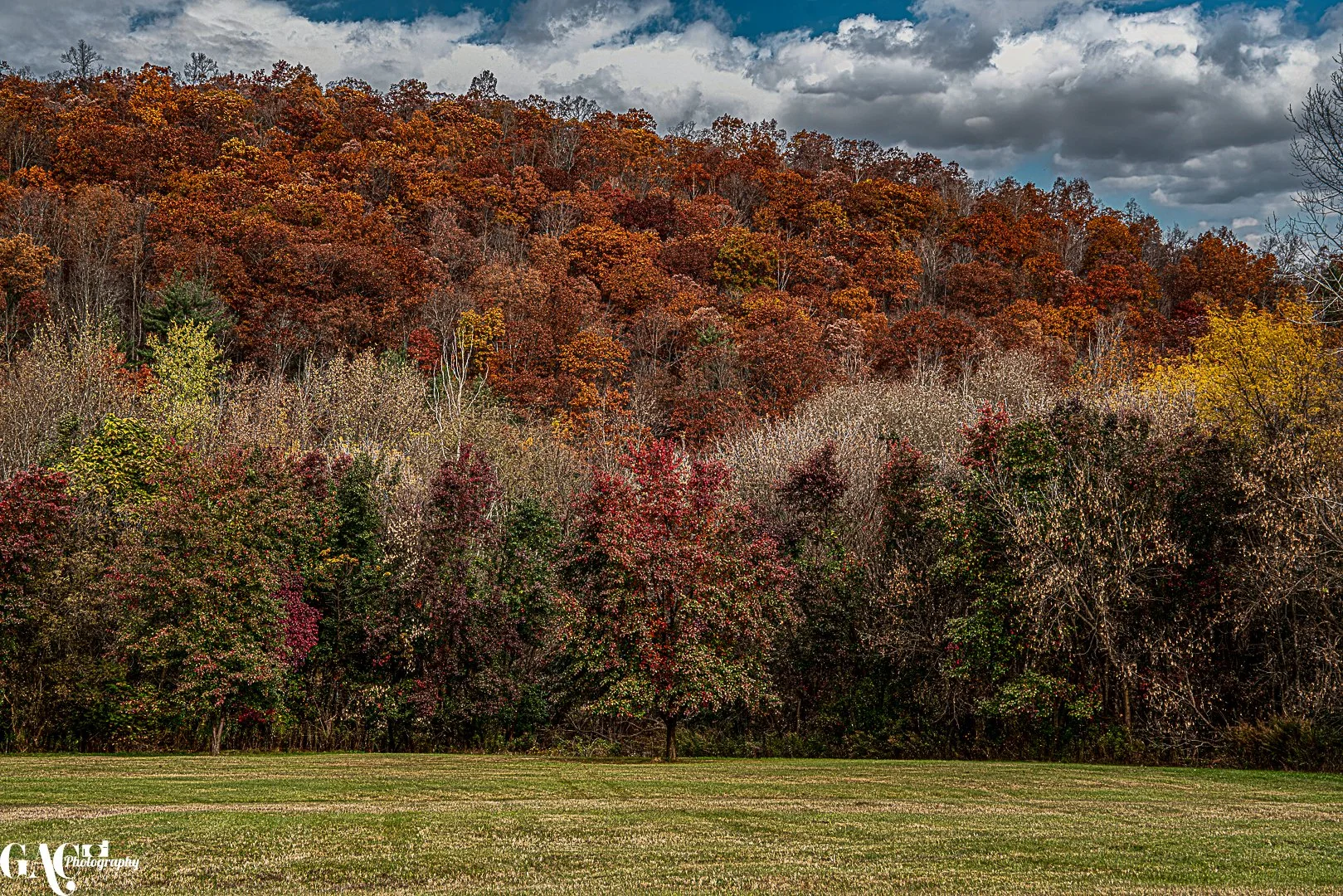 Autumn landscape with colorful foliage and grassy field under a cloudy sky.