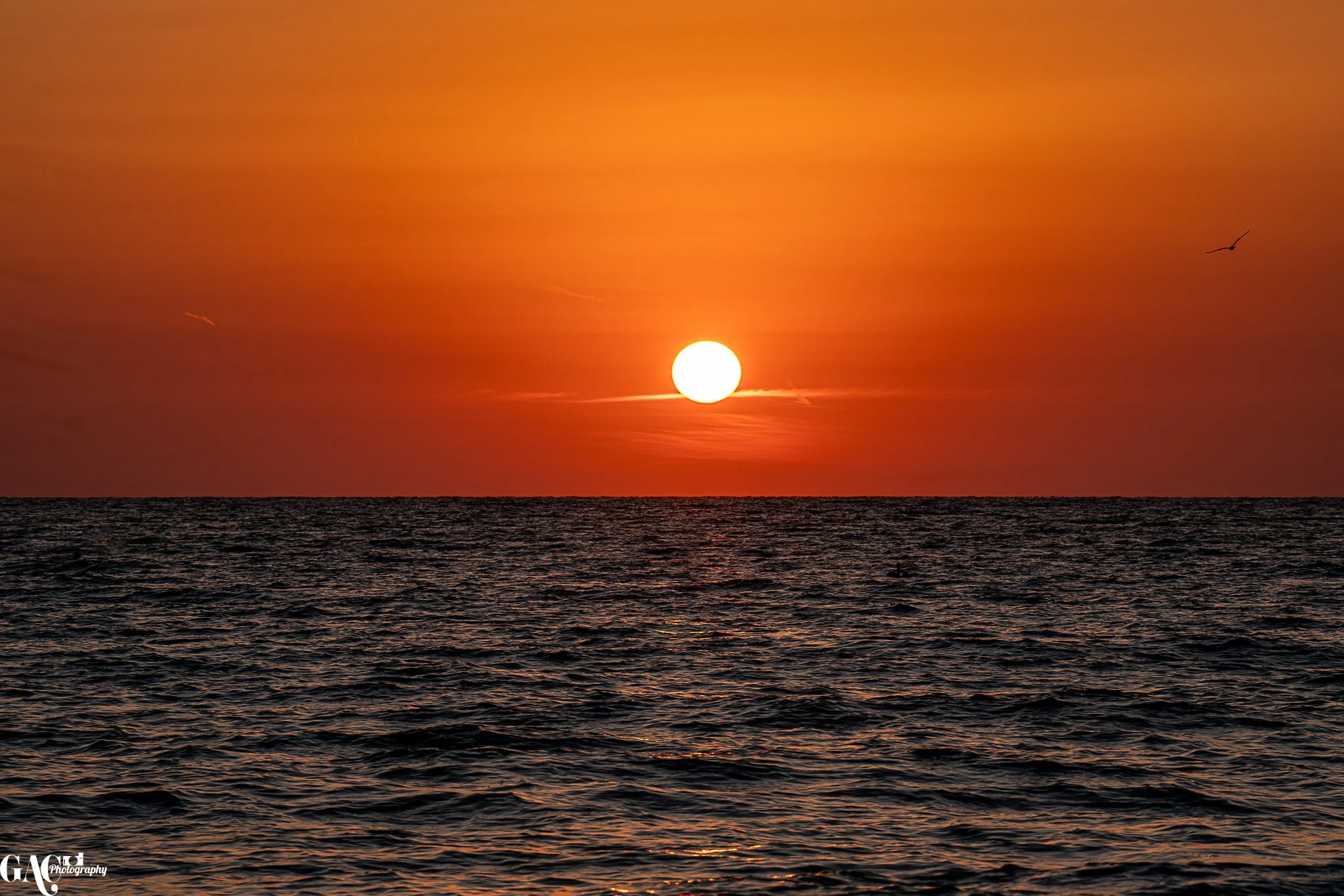 Sunset over the ocean with a vibrant orange sky and the sun near the horizon, with two birds flying above the water.