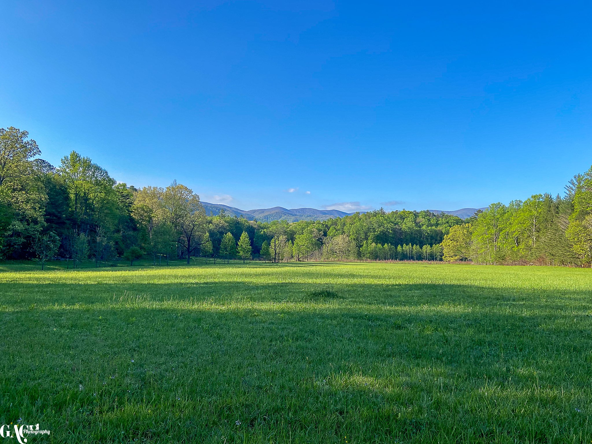 Green field with trees and mountain range under clear blue sky.