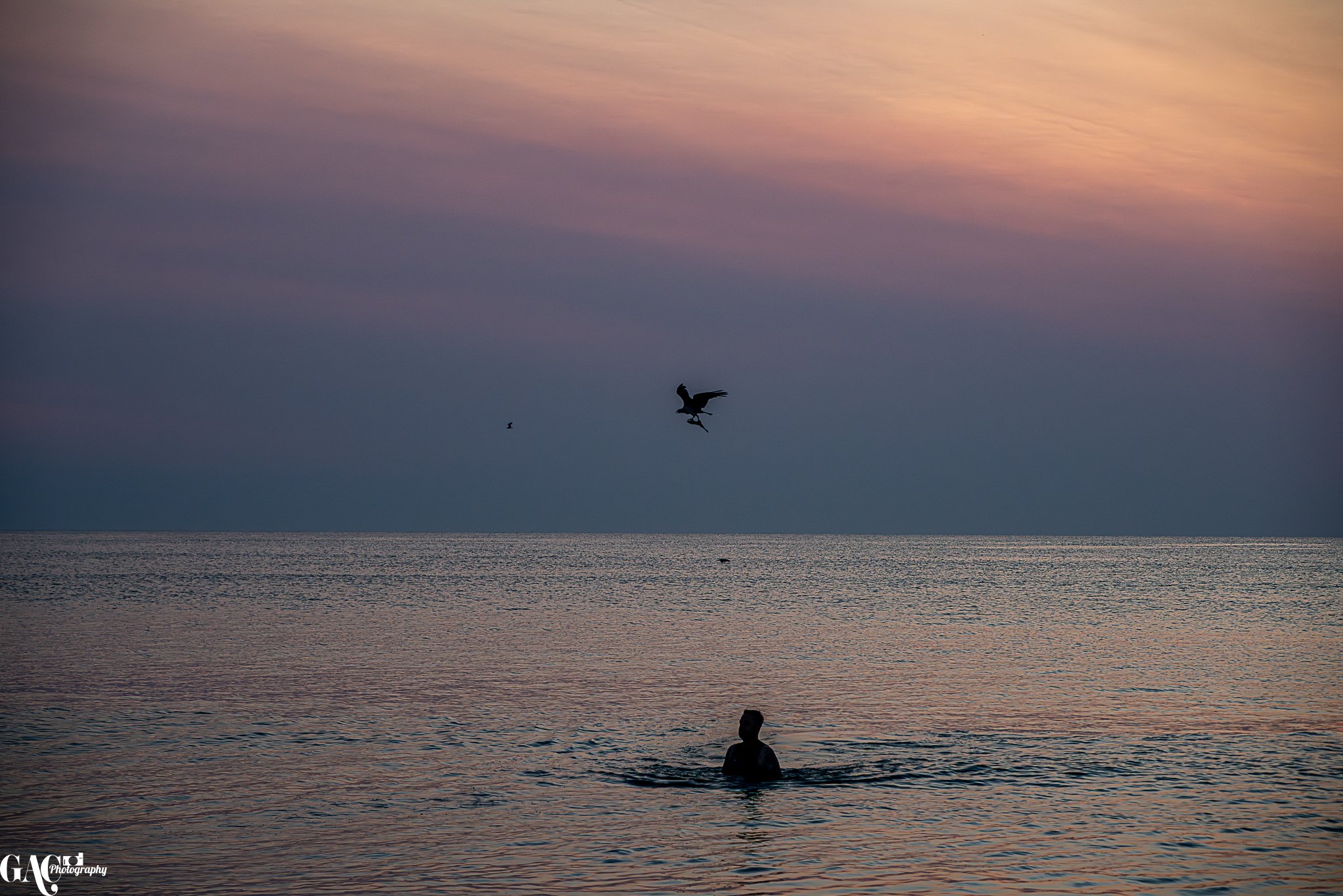 A person swimming in the ocean during sunset with two birds flying overhead.