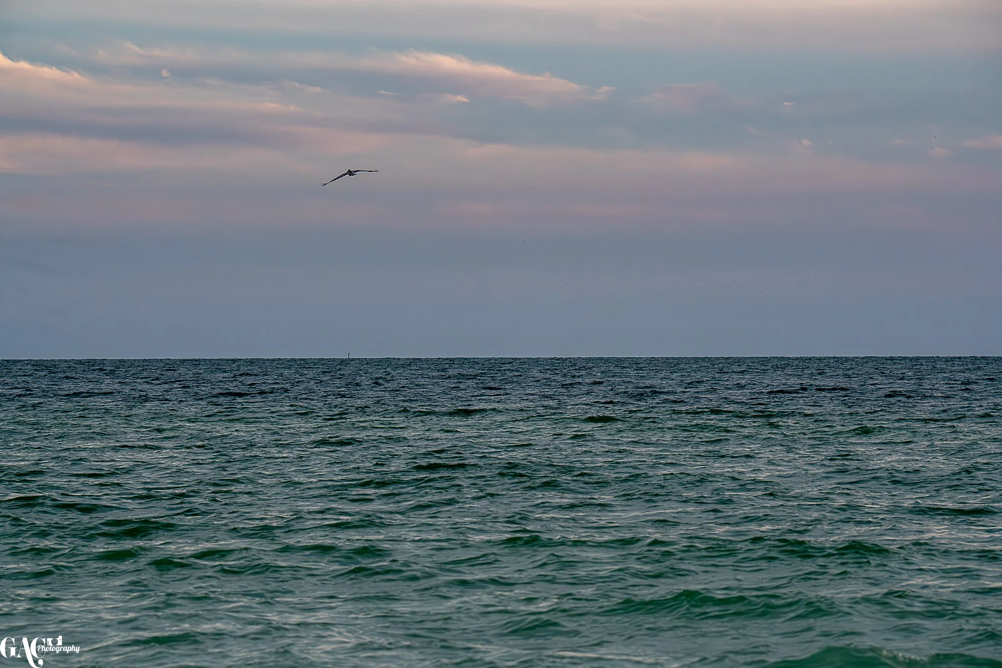 Ocean view with a bird flying over the water, under a partly cloudy sky.