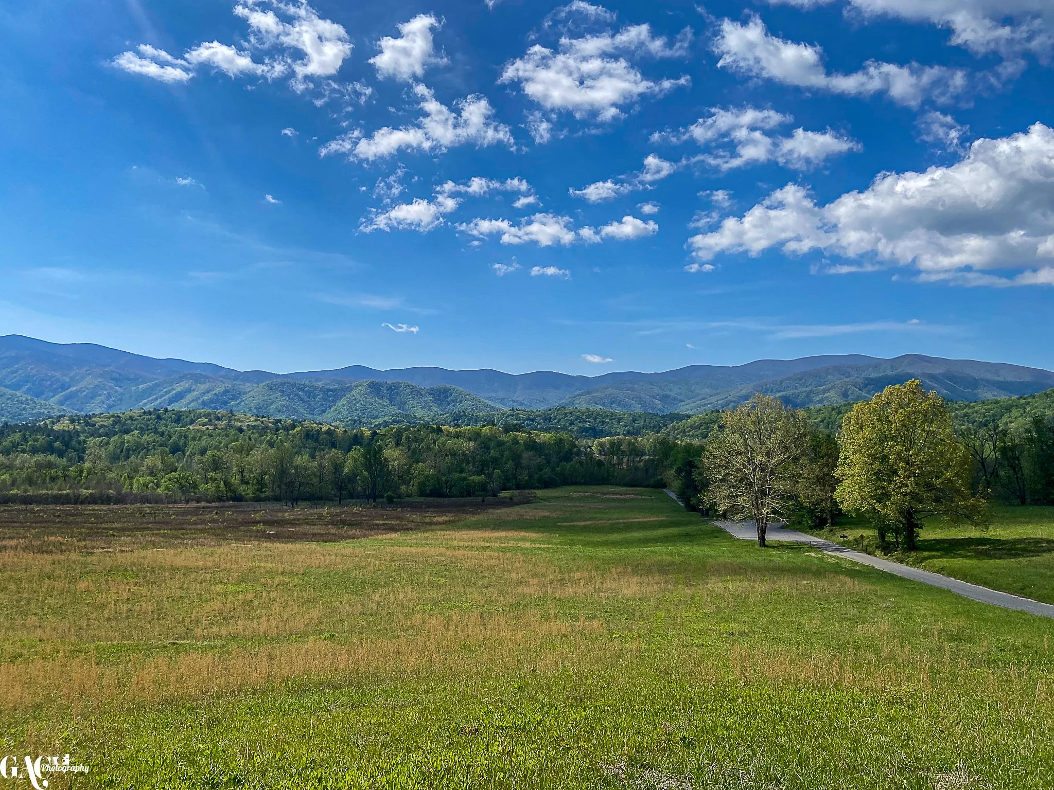 Scenic landscape with grassy fields, trees, and distant mountains under a blue sky with clouds.
