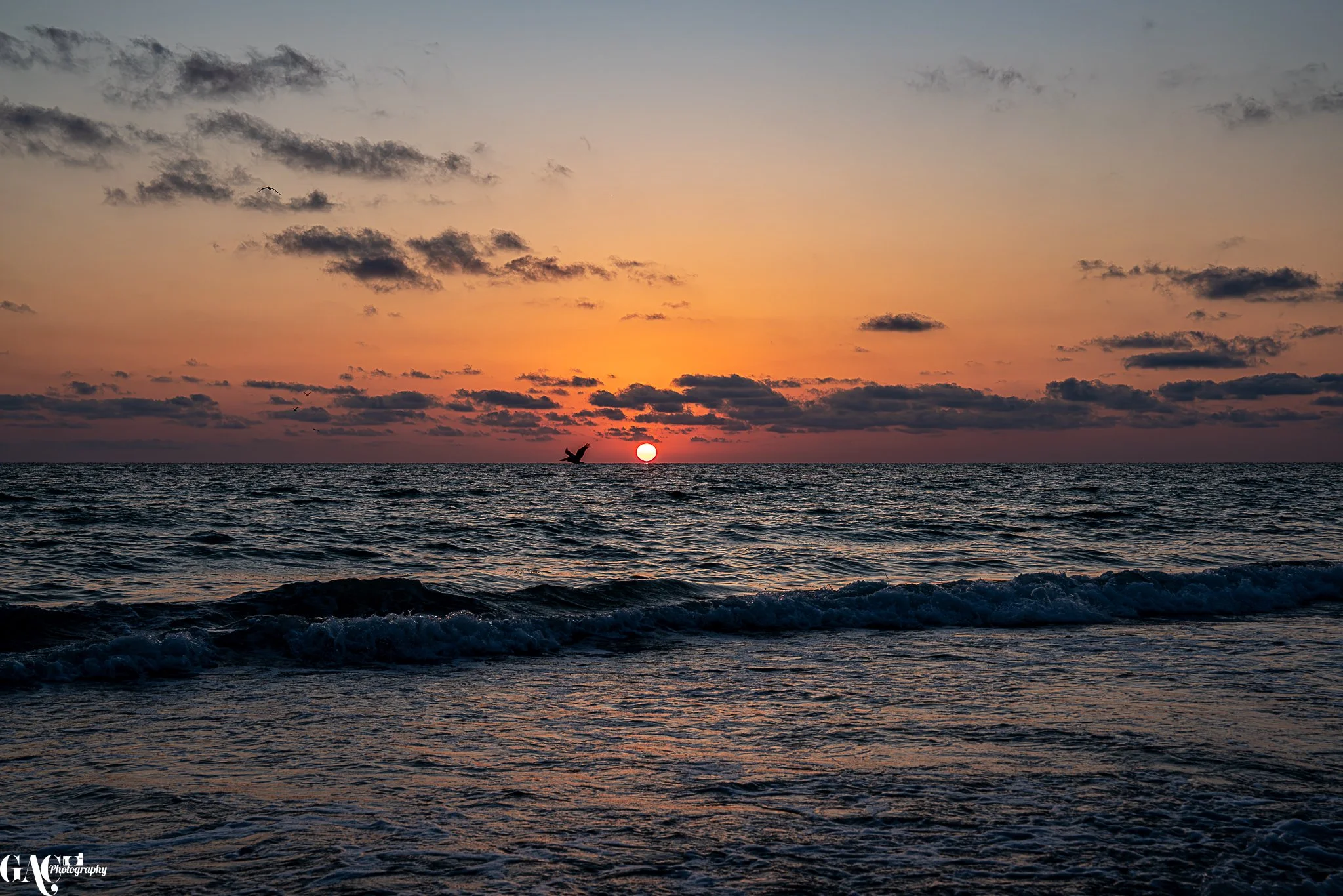 Sunset over the ocean with scattered clouds, gentle waves, and a bird flying near the horizon