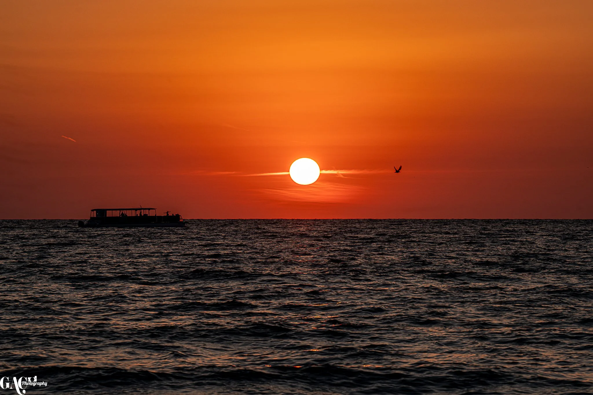 Sunset over the ocean with a boat silhouette and a bird flying in the sky.