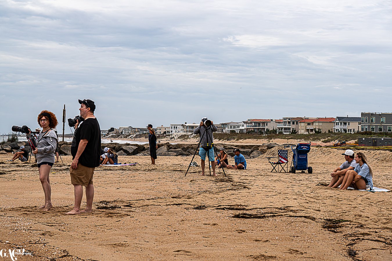 People on a sandy beach with photographers and beachgoers, some sitting and others standing, with houses visible in the background under an overcast sky.
