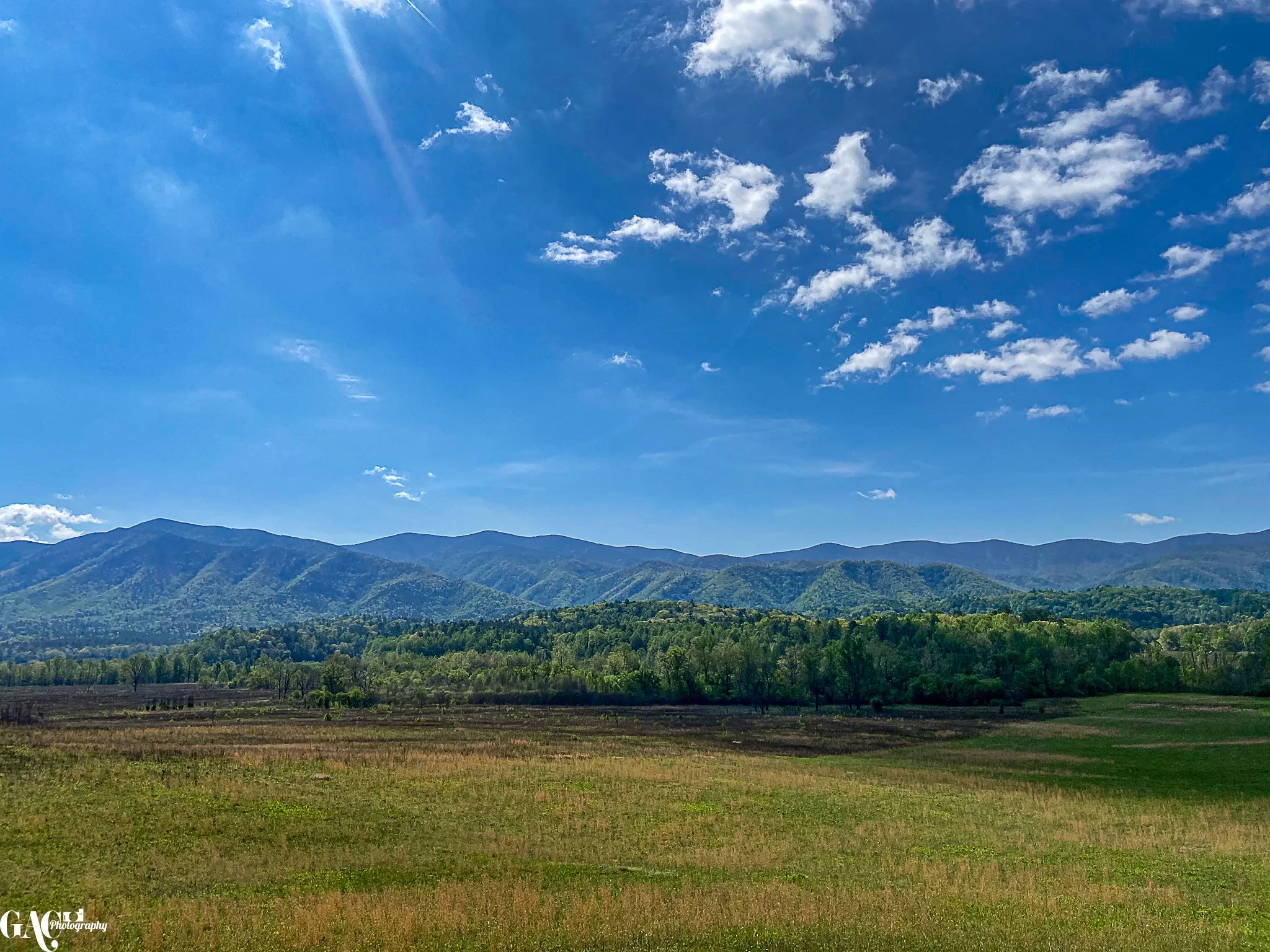 Scenic landscape of grassy fields and forested hills under a blue sky with clouds, with mountain range in the background.