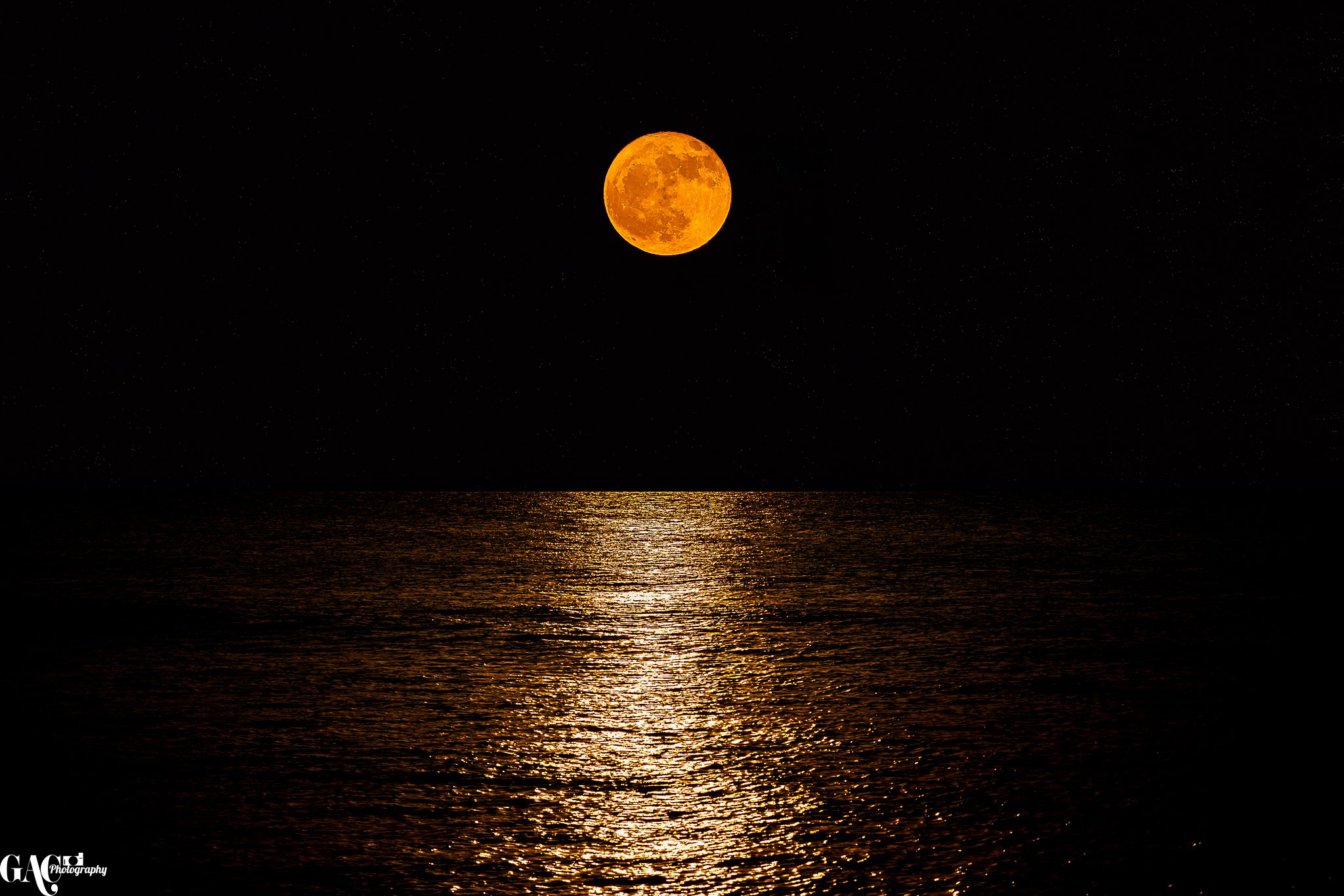 Full moon reflecting on the ocean at night with stars in the sky.