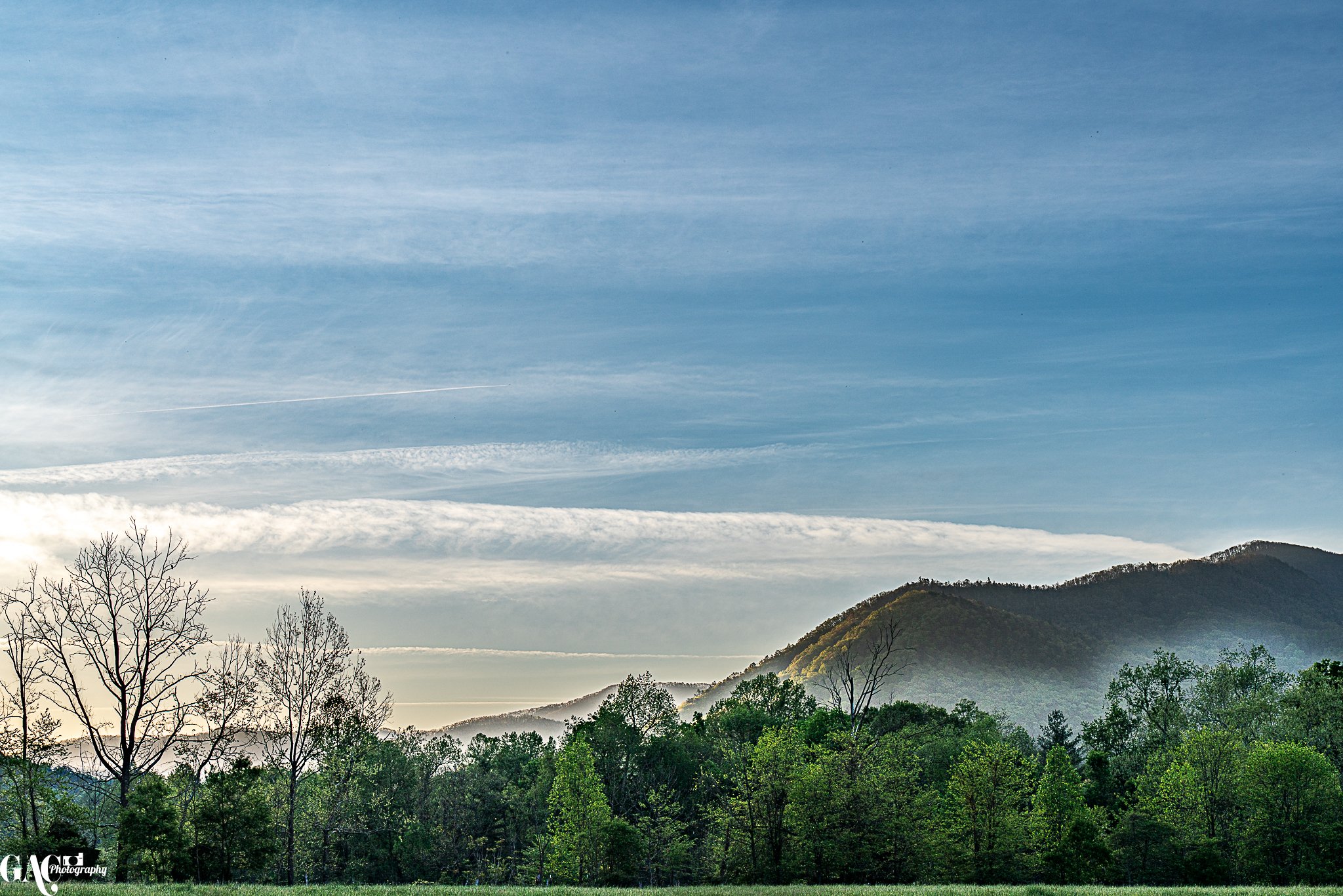 Scenic view of a lush green landscape with a forested mountain in the background under a clear blue sky with streaks of white clouds.