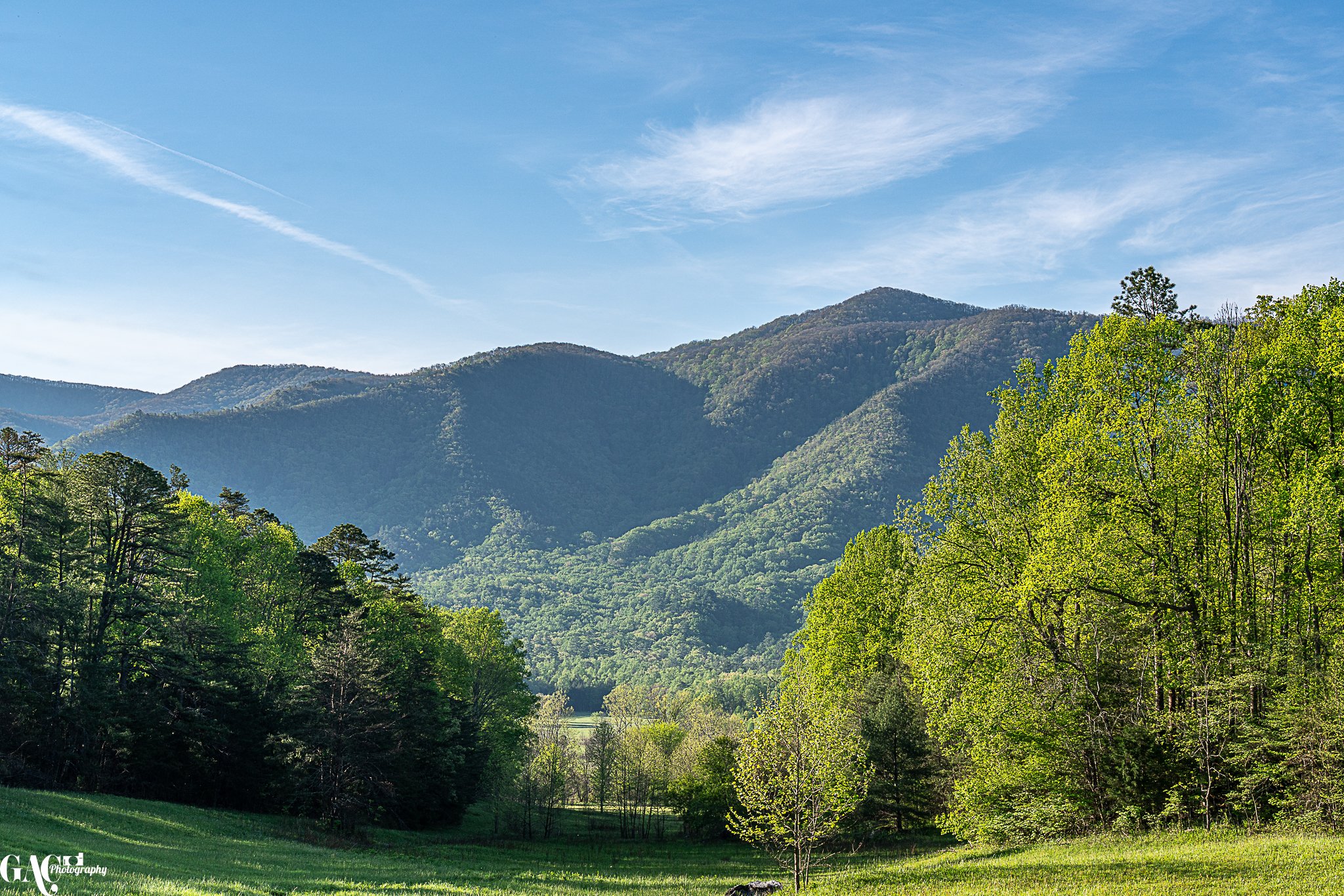 Scenic view of lush green mountains with a clear blue sky in the background.
