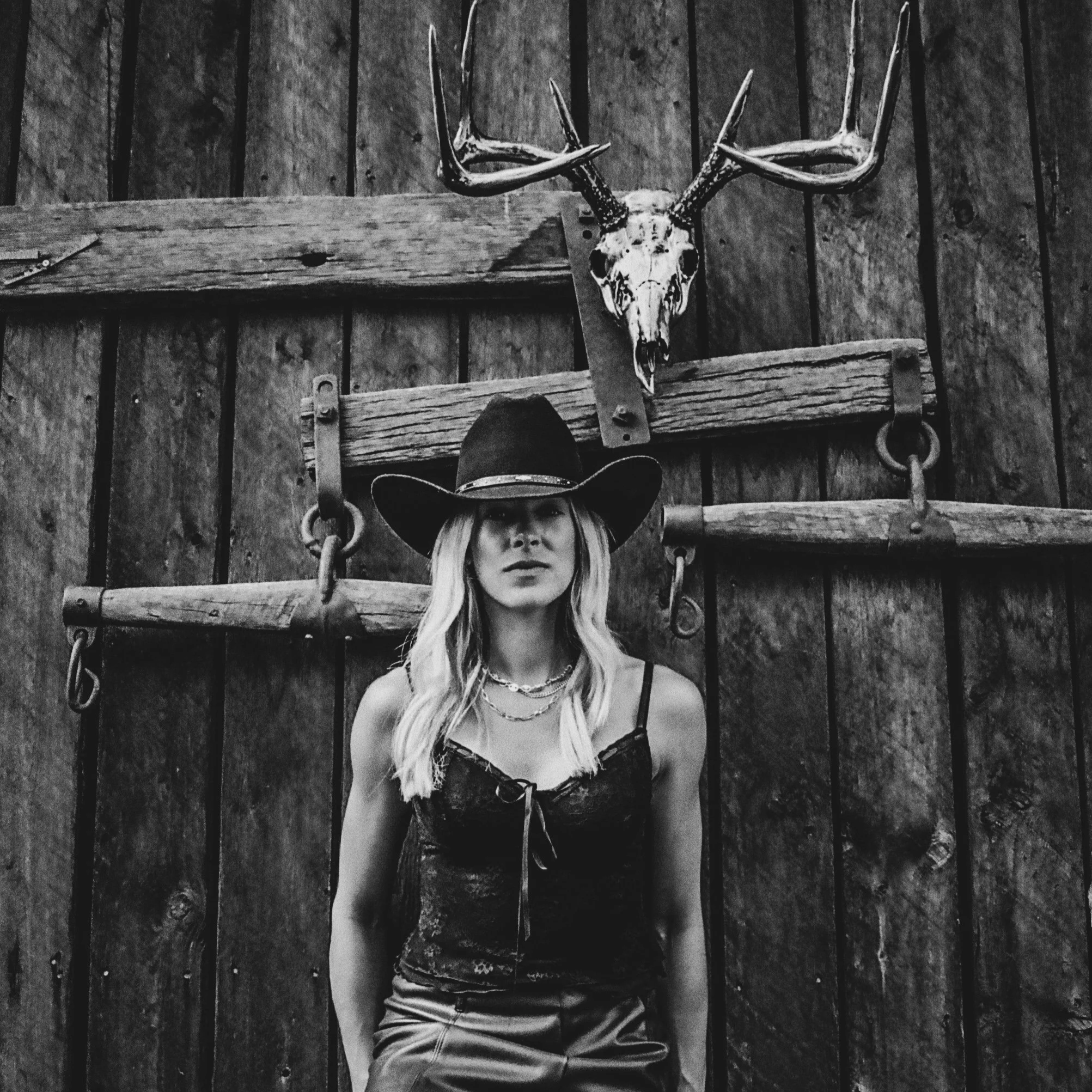  The Black Stag
