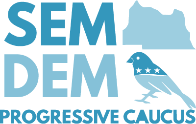 Seminole Democrats Progressive Caucus Endorses Marialana Kinter for Congress