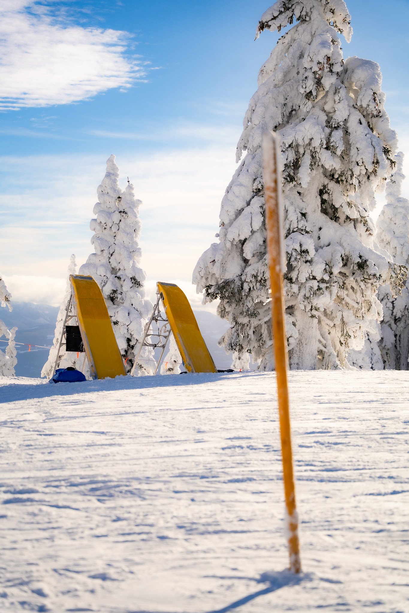 Snow-covered trees with ski or snowboarding equipment in a winter landscape under a partly cloudy sky.