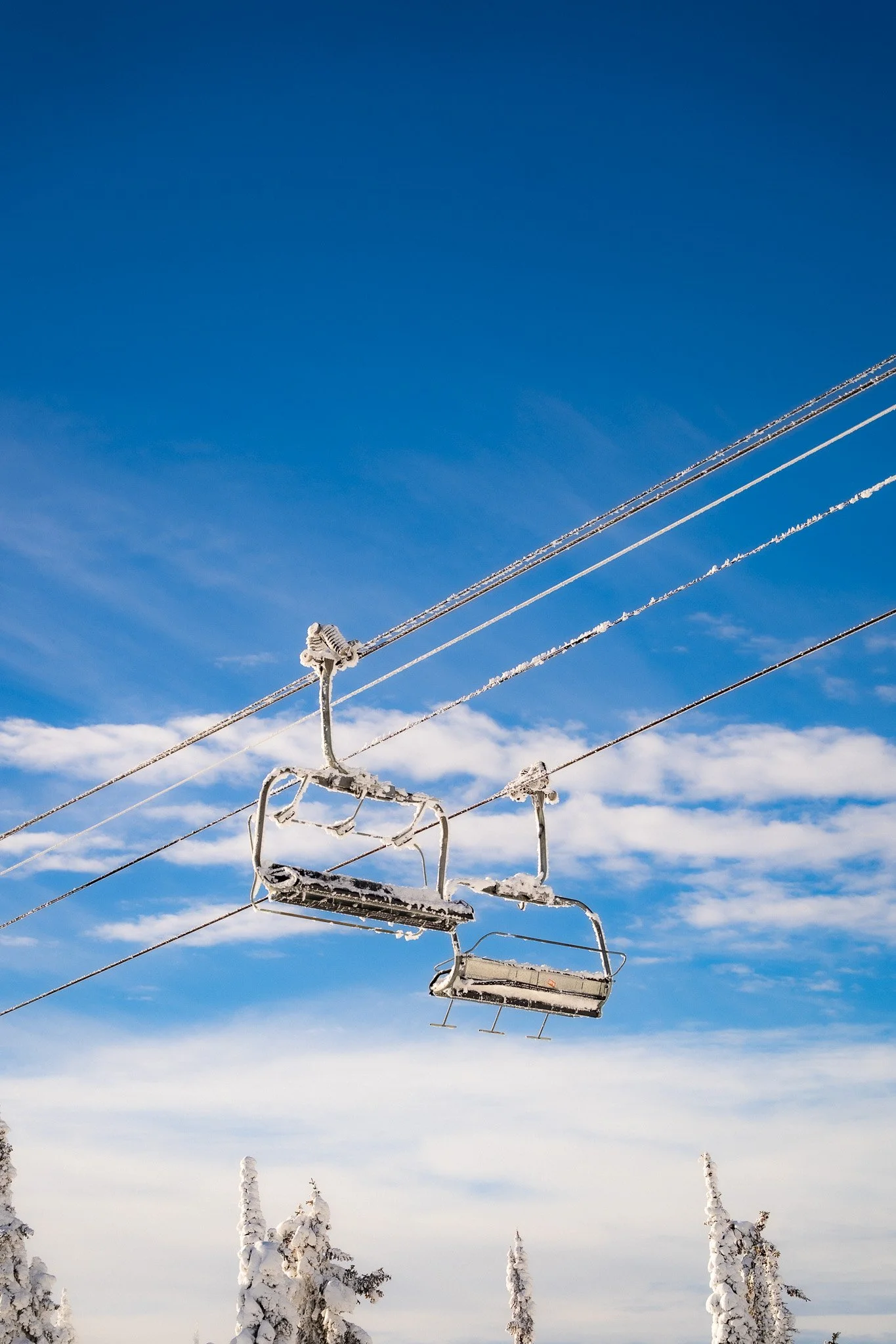 Snow-covered ski lift chairs hanging from cables against a bright blue sky, with snow-laden trees at the bottom of the image.