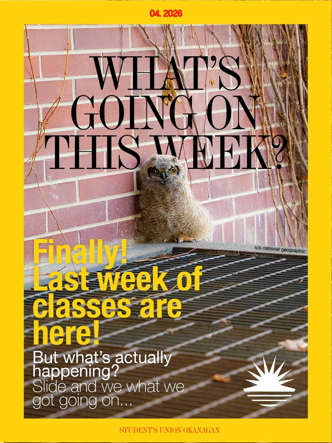 A school poster featuring an owl perched on a brick wall background, with bold black and yellow text announcing the last week of classes in April 2026, and questions about ongoing activities, created for Student's Union Okanagan.