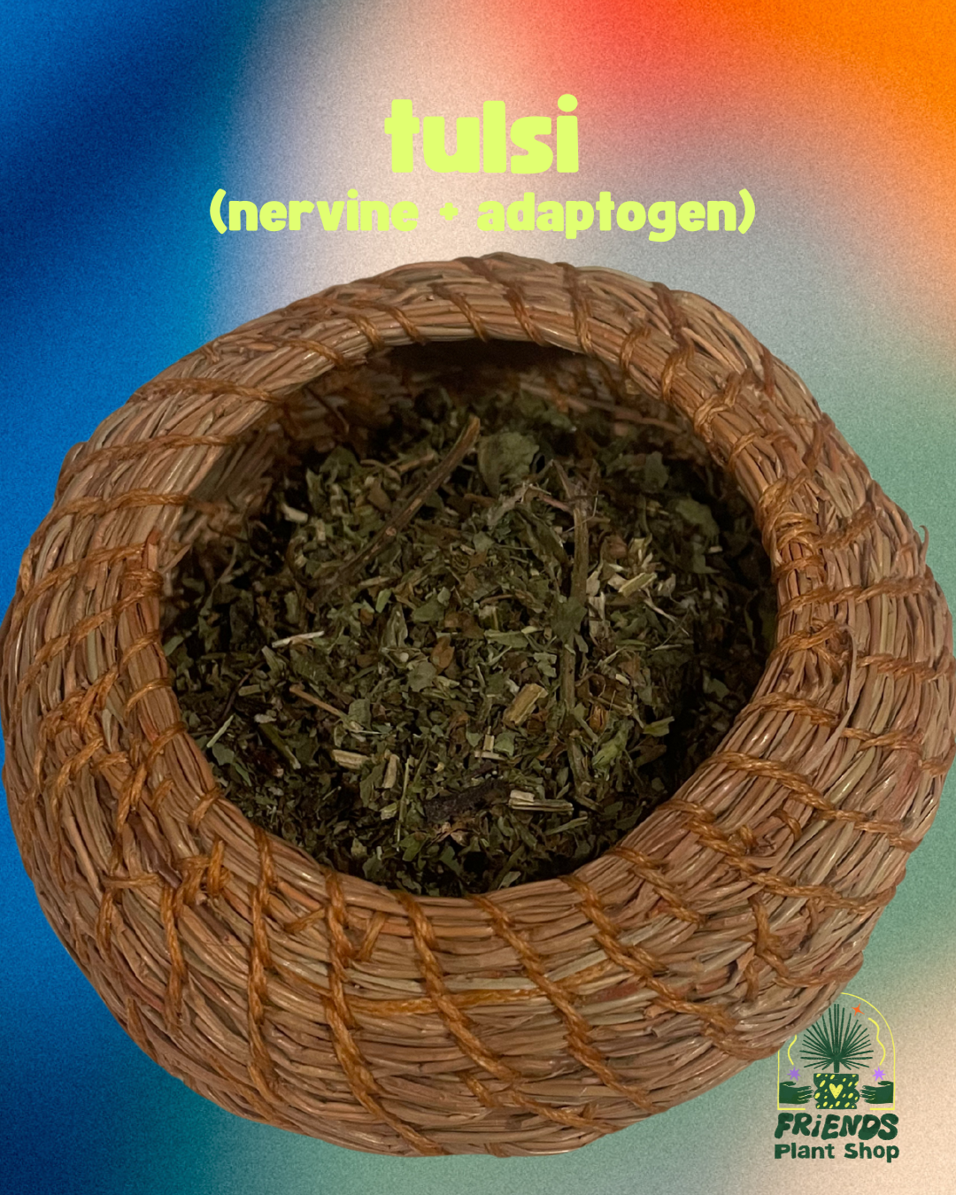 Tulsi (Holy Basil)