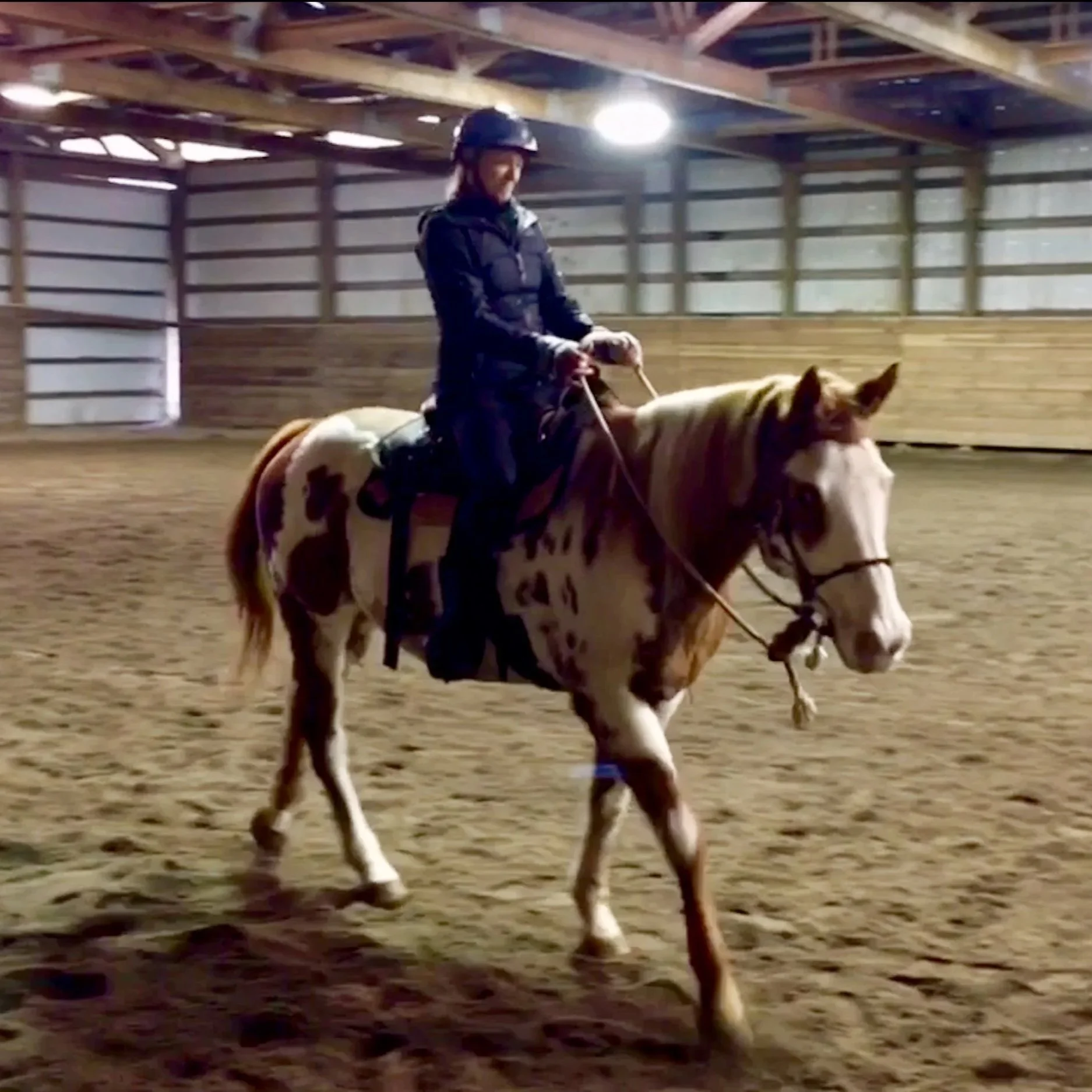 BLOG+Learning+to+Ride+a+Horse+9.jpg