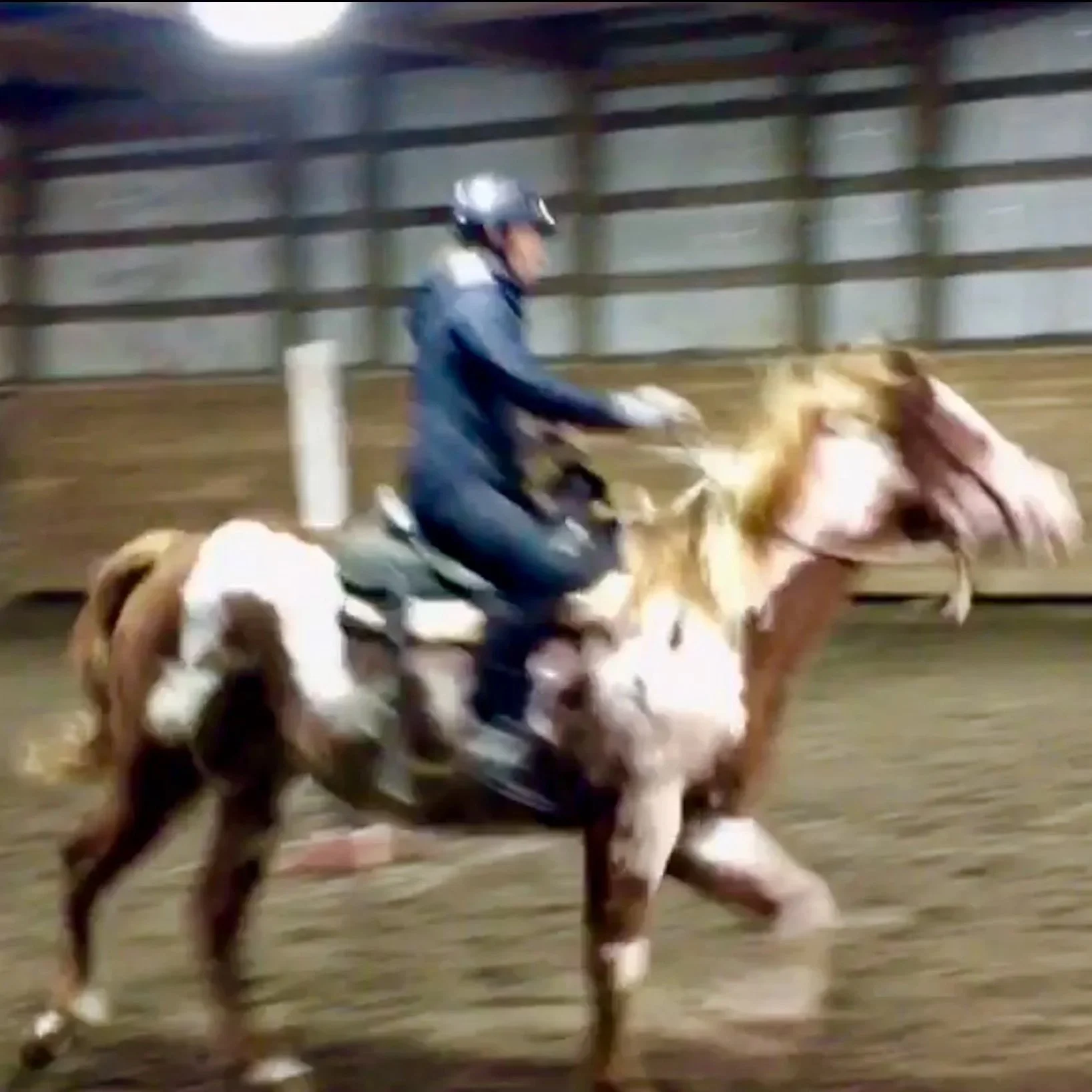 BLOG+Learning+to+Ride+a+Horse+11.jpg