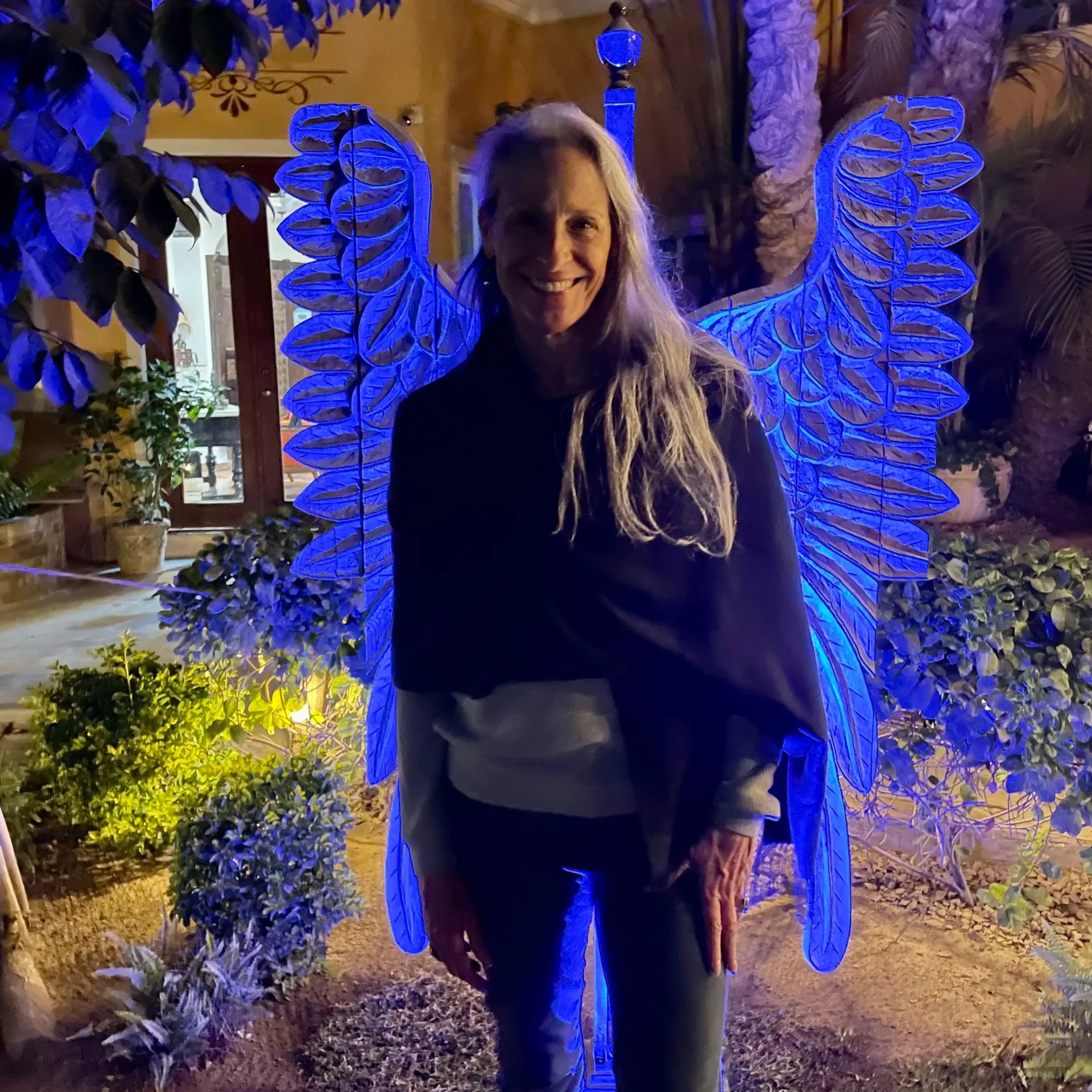 BLOG+3%3A1%3A2023+Angel+Wings6.jpg