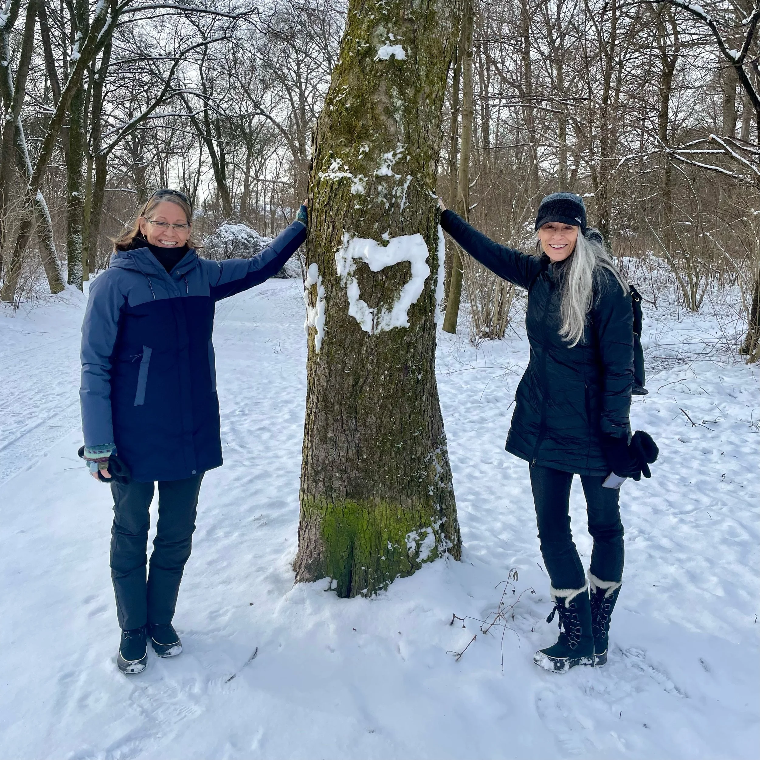 Englischergarten, Munich