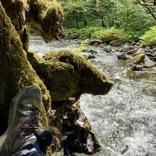 BLOG 3rd Annual Creative Camping Trip16.jpeg
