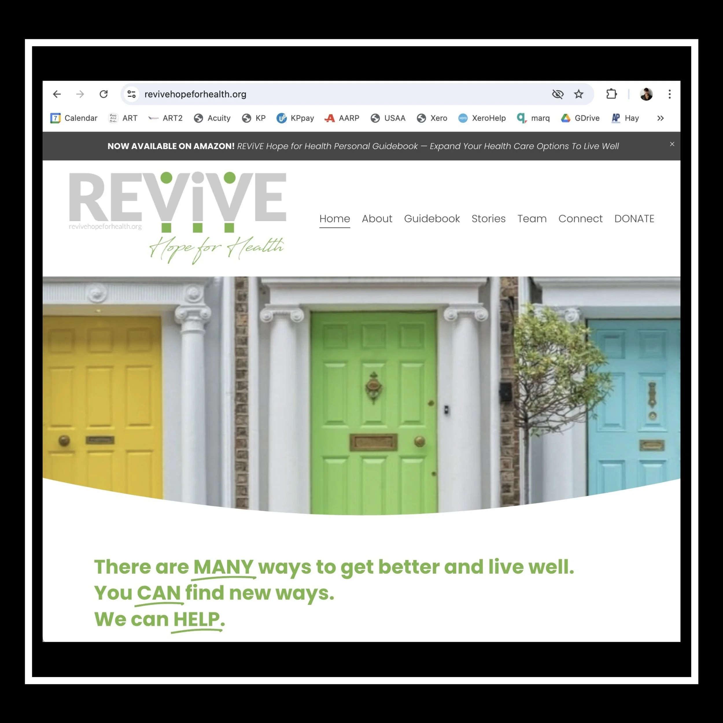 BLOG 8:7:2024 REViVE Guildebook Launch5.JPEG