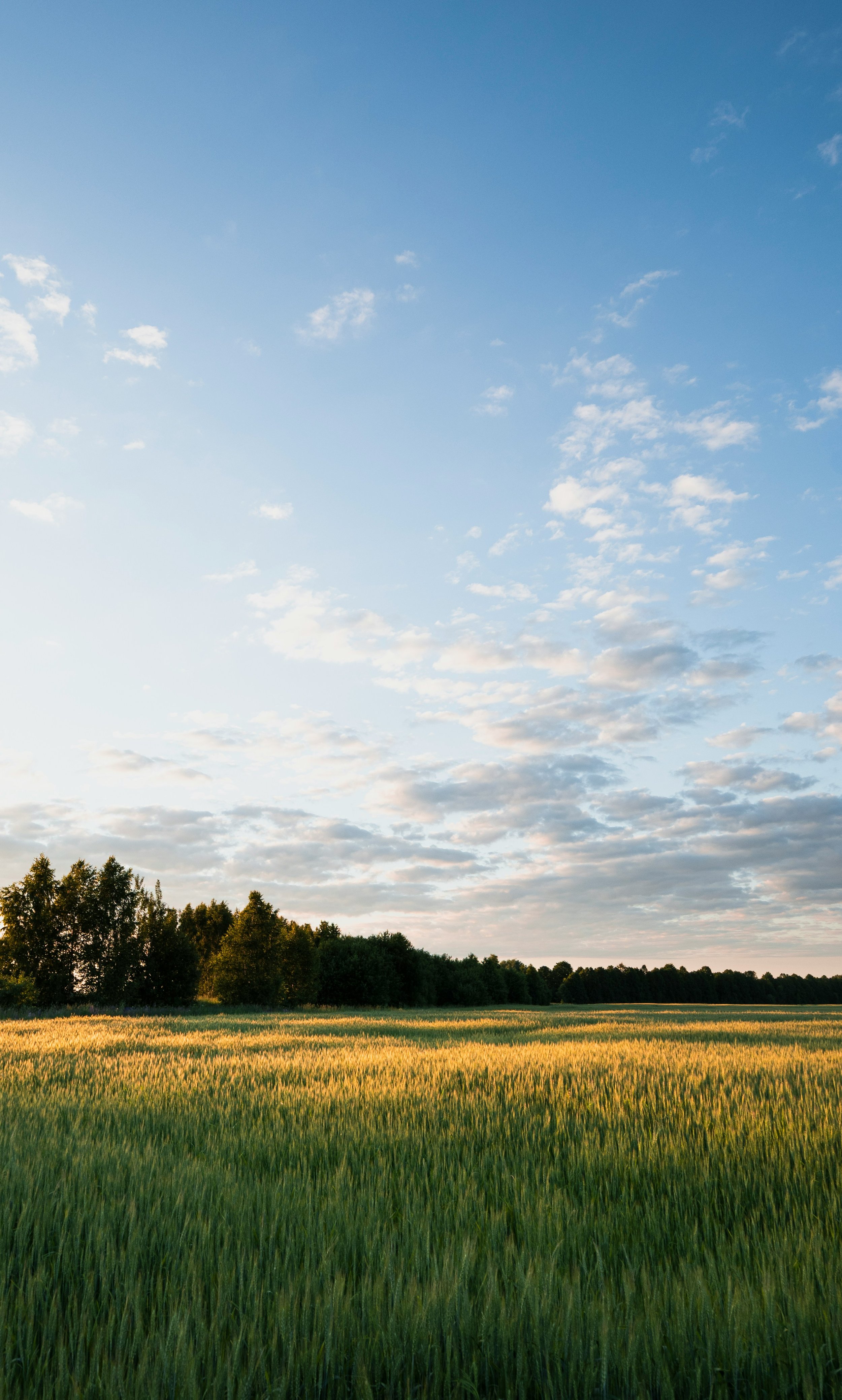 Making Space for the Logical and the Emotional