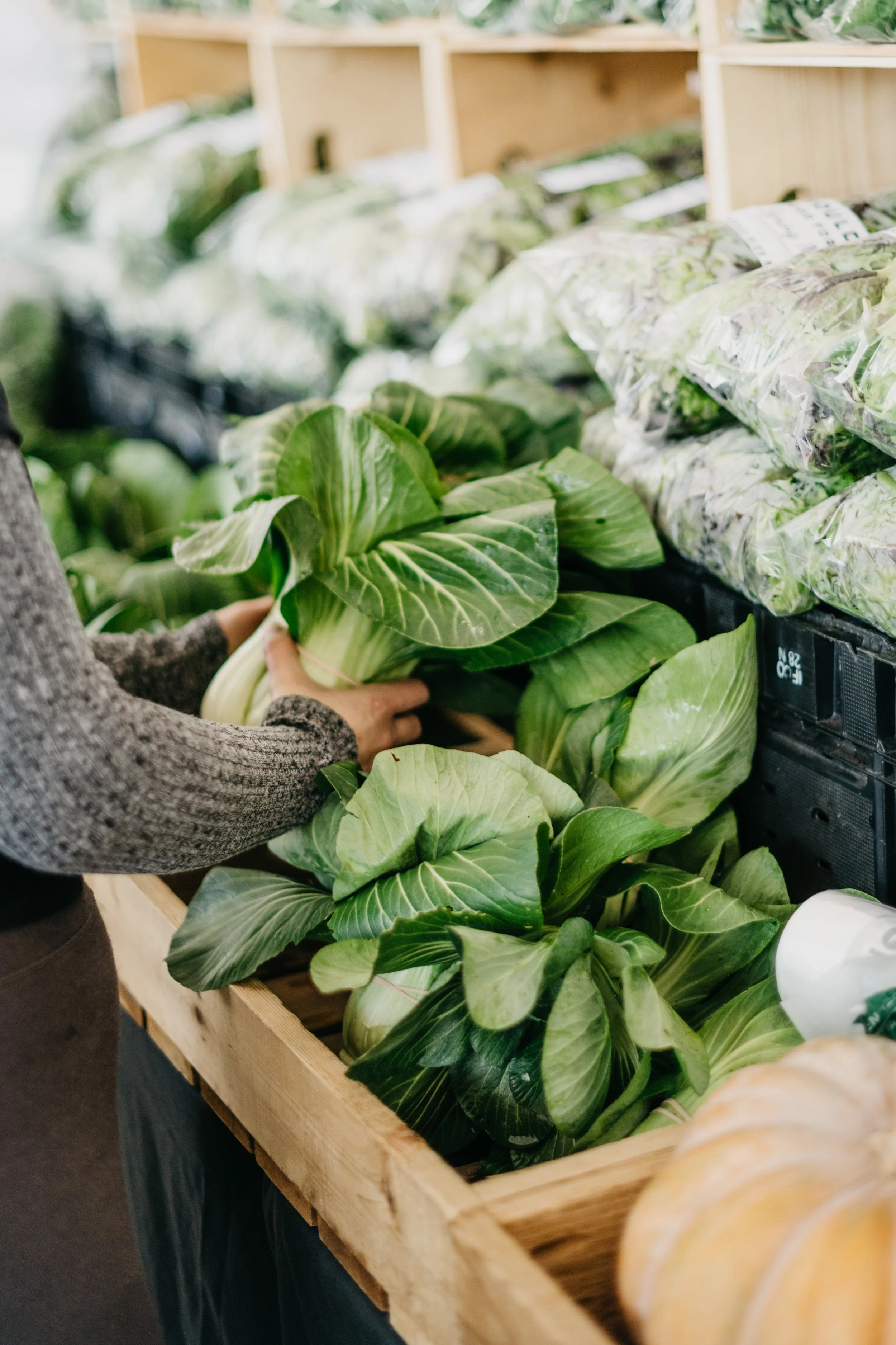 AdobeStock_1218417310.jpeg